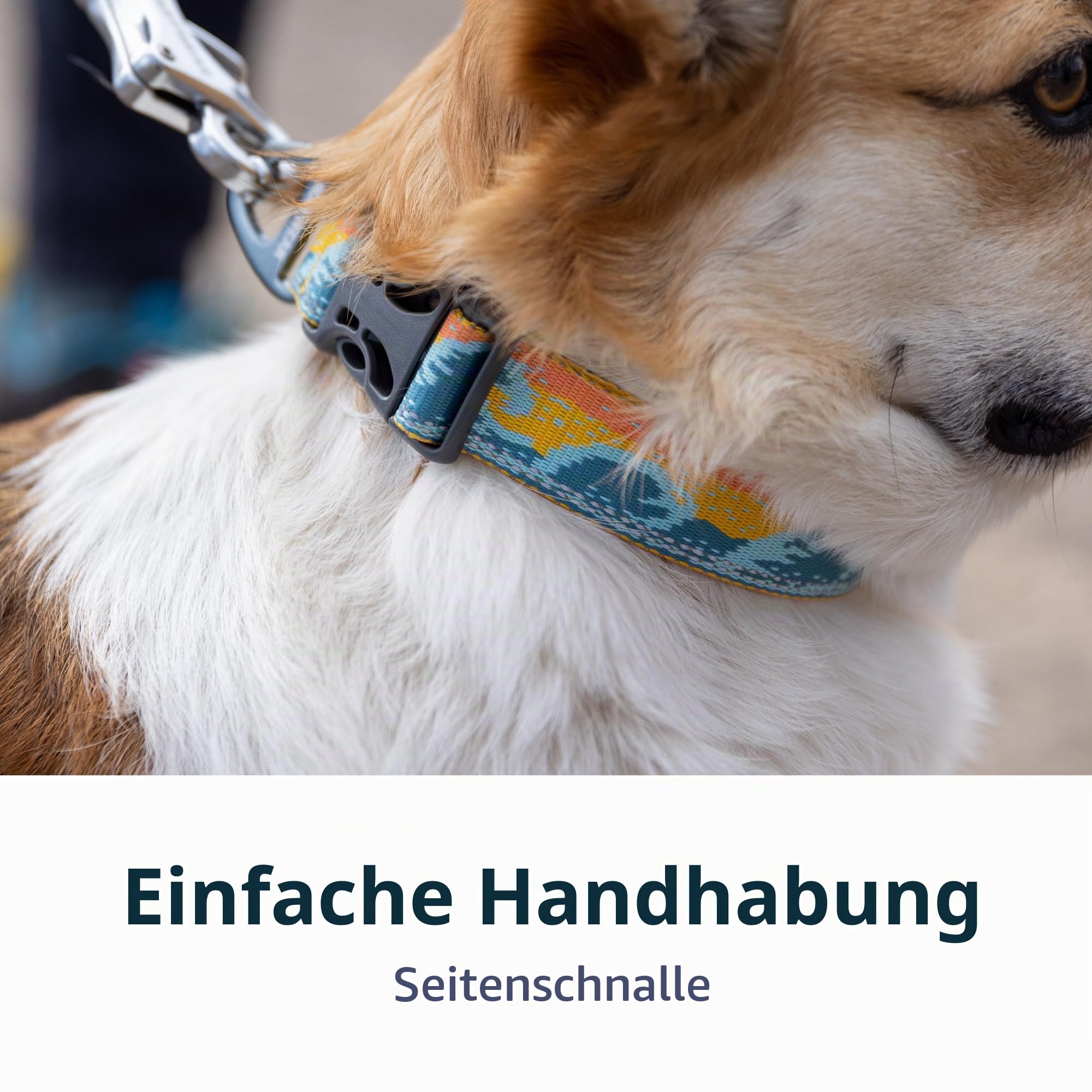 RUFFWEAR Crag Hundehalsband, mittelgroßes Hundehalsband mit Aluminium-V-Ring, verstellbare Länge, Haustier-Hundehalsband, bequem, weiches Halsband, Premium-Tierhalsband mit Befestigungsring für