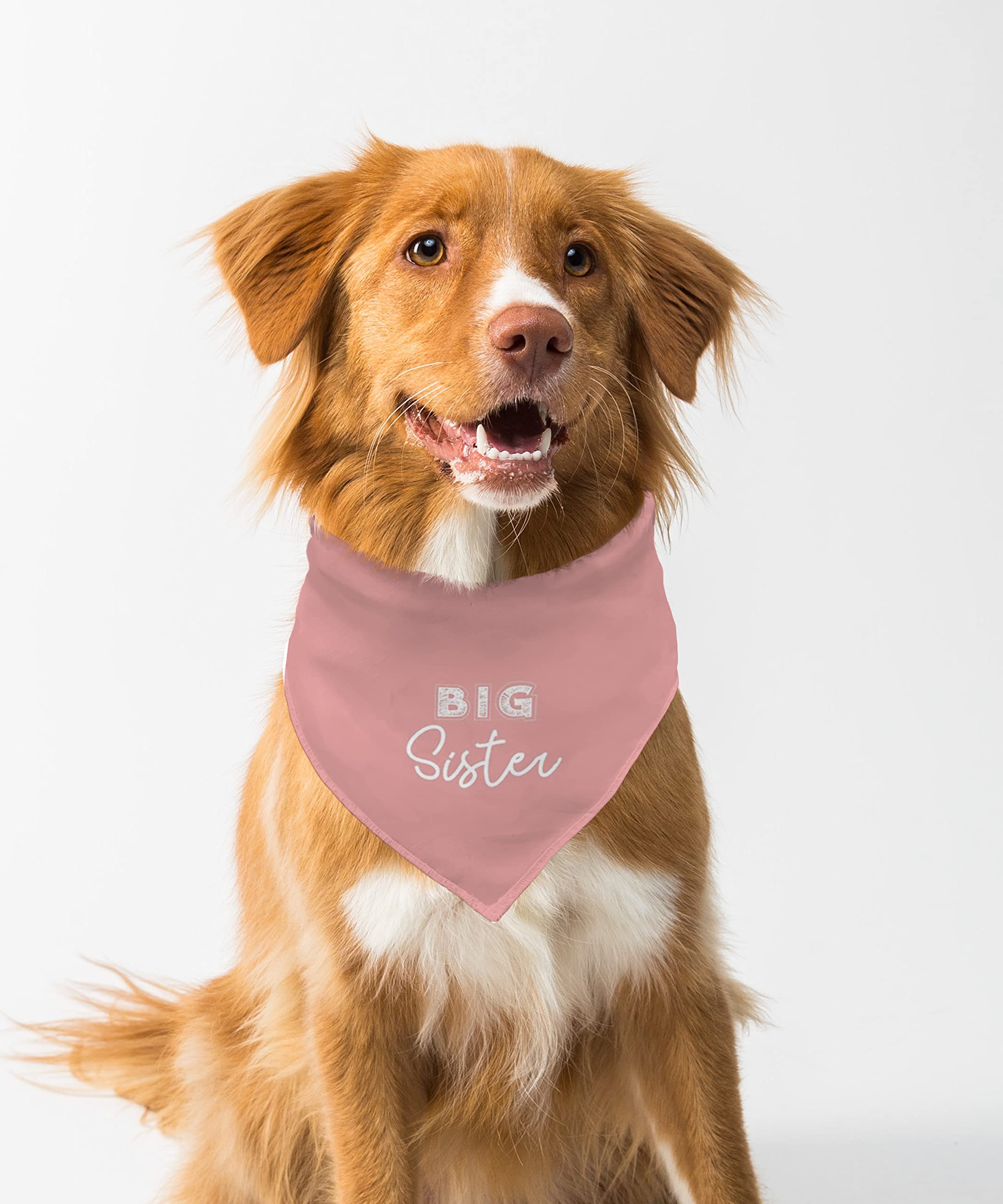 Farnup Adjustable & Comfortable Dog Bandana,Big Sister, Graphic Printed Bandana for Dogs | Dog Scarf, Accessory | Gifts for Dogs-S/M (B0BVHFH1ZM) Amazon Price History, Amazon Price Tracker