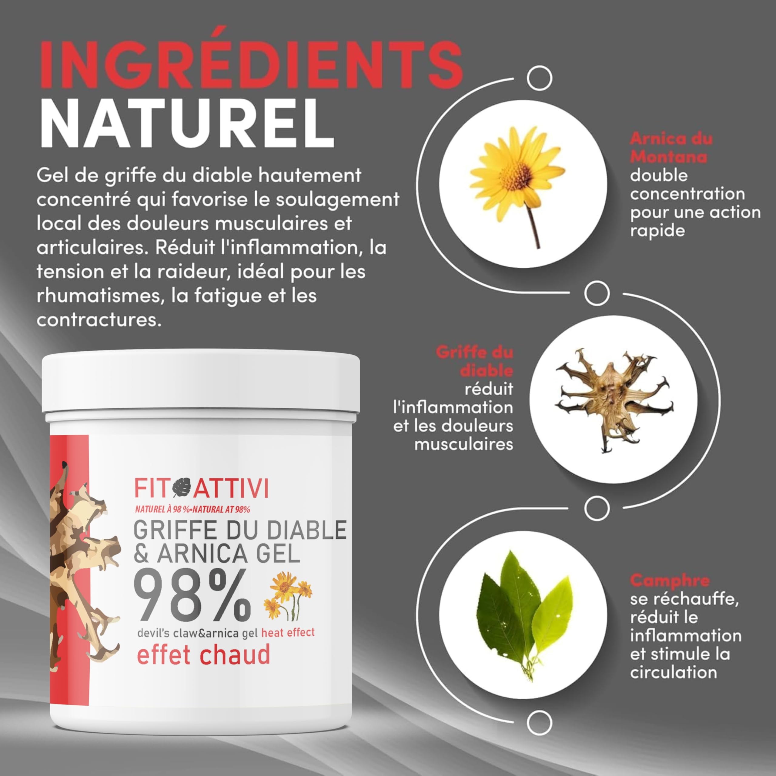 Griffe Du Diable & Arnica 550ml Creme Chauffante Musculaire avec Harpagophytum, Camphre, Vitamine E Gel De Massage Relaxation Muscles & Articulations Made In Italy
