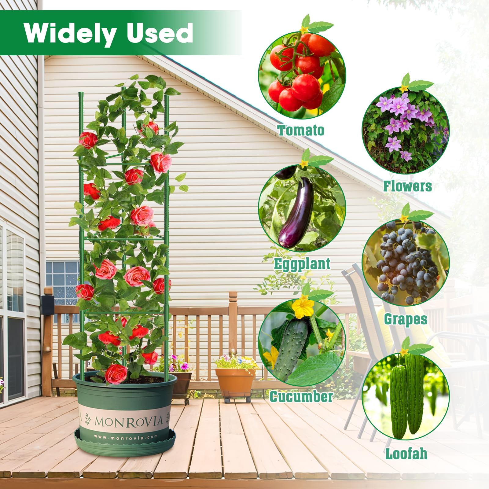 MQUPIN Tomato Plant Support , supporto per piante rampicanti, supporto regolabile in altezza da 130 cm per pomodori, cetrioli, rose, giardini, traliccio in metallo con 20 fascette (6 pezzo)