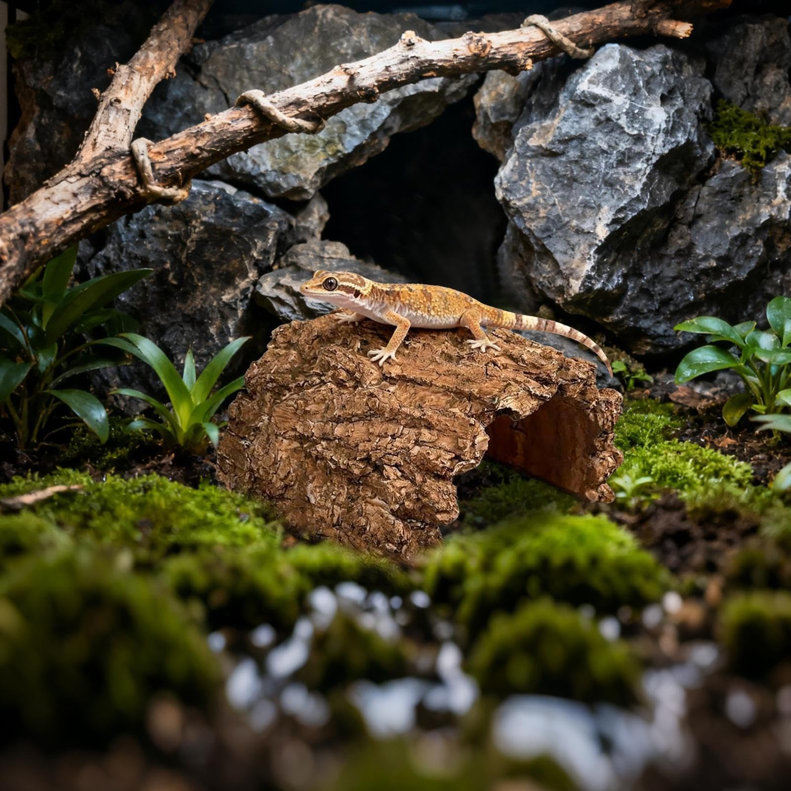 Caverna Per Tartarughe Rifugio In Resina Per Habitat | Rifugio Per Tartarughe Adatto A Drago Barbuto, Tartarughe, Rane, Gechi, , Rettili, Anfibi, Acquari, Vasche