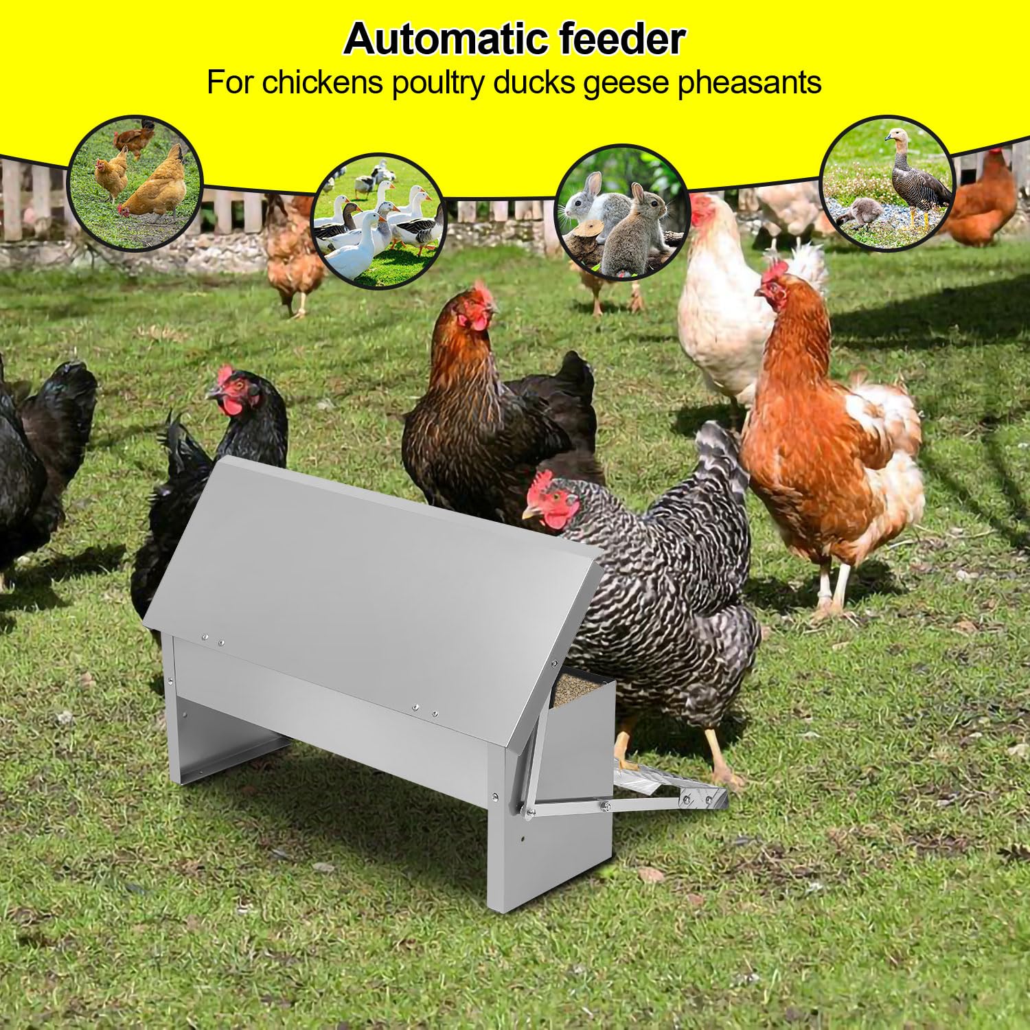 3 comederos automáticos para pollos, 5 kg, con tapa, pedal automático, comedero automático, comedero para pollos, resistente al agua