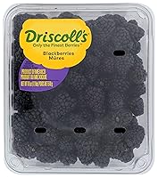 Algopix Similar Product 4 - Driscoll Blackberries, 18 OZ