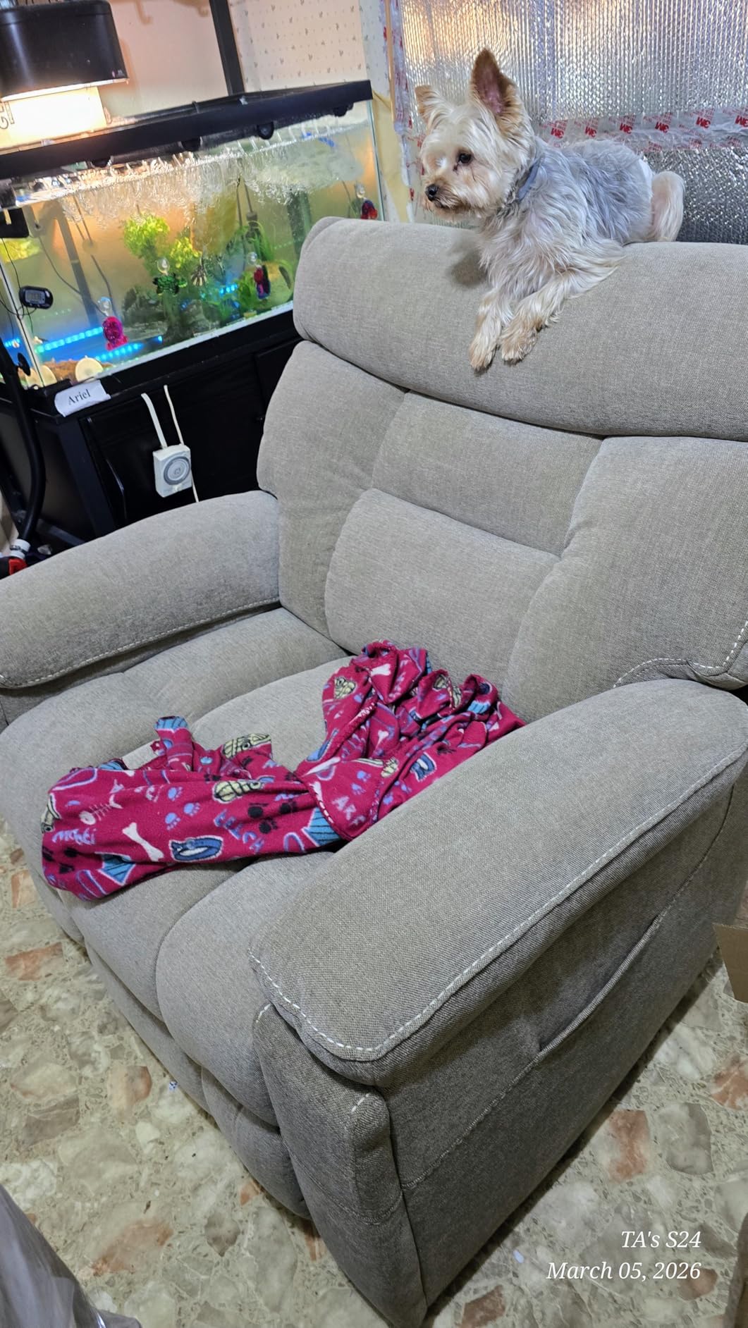 CANMOV Dual Motor Power Lift Recliner