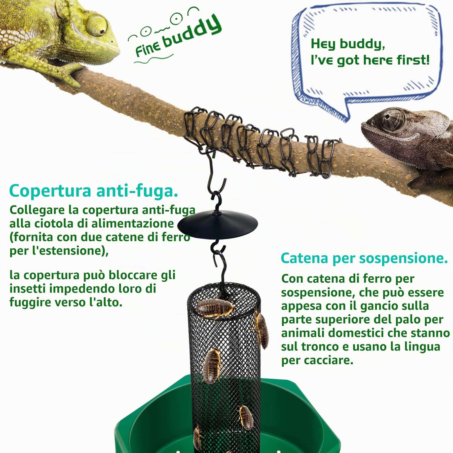 Ciotola per insetti camaleonte agganciabile con colonna per arrampicarsi e muoversi, adatta per lucertola, drago barbuto, iguana, geco, rospo, rana