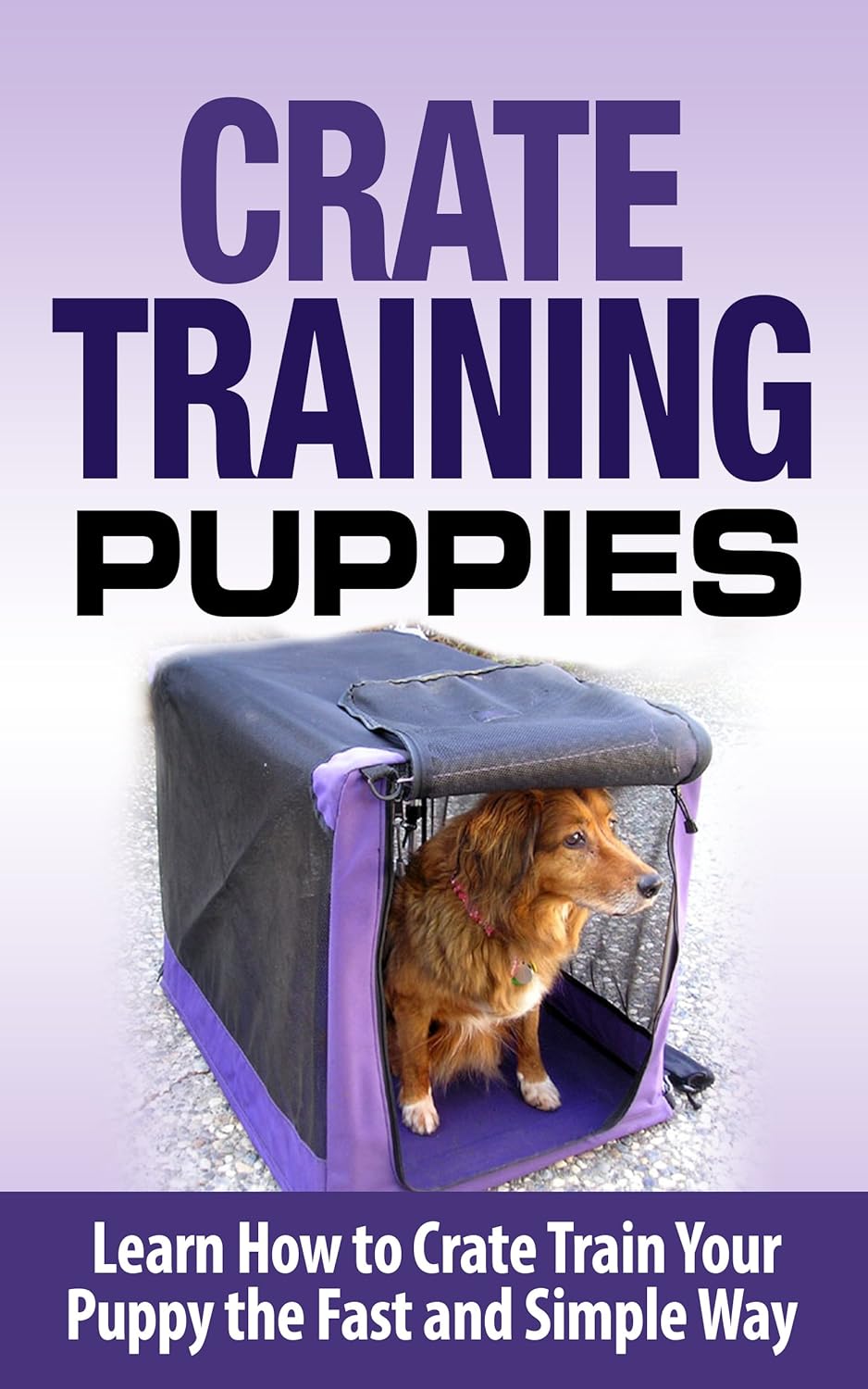 Crate Training Crate Training Puppies Learn How to Crate Train Your