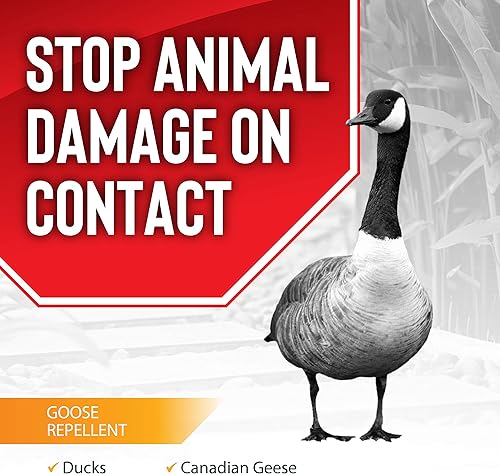 Miniatura 3 de Tapón de ganso, repelente líquido de animales, totalmente natural, eficaz durante todo el año, seguro para personas y mascotas, sin productos