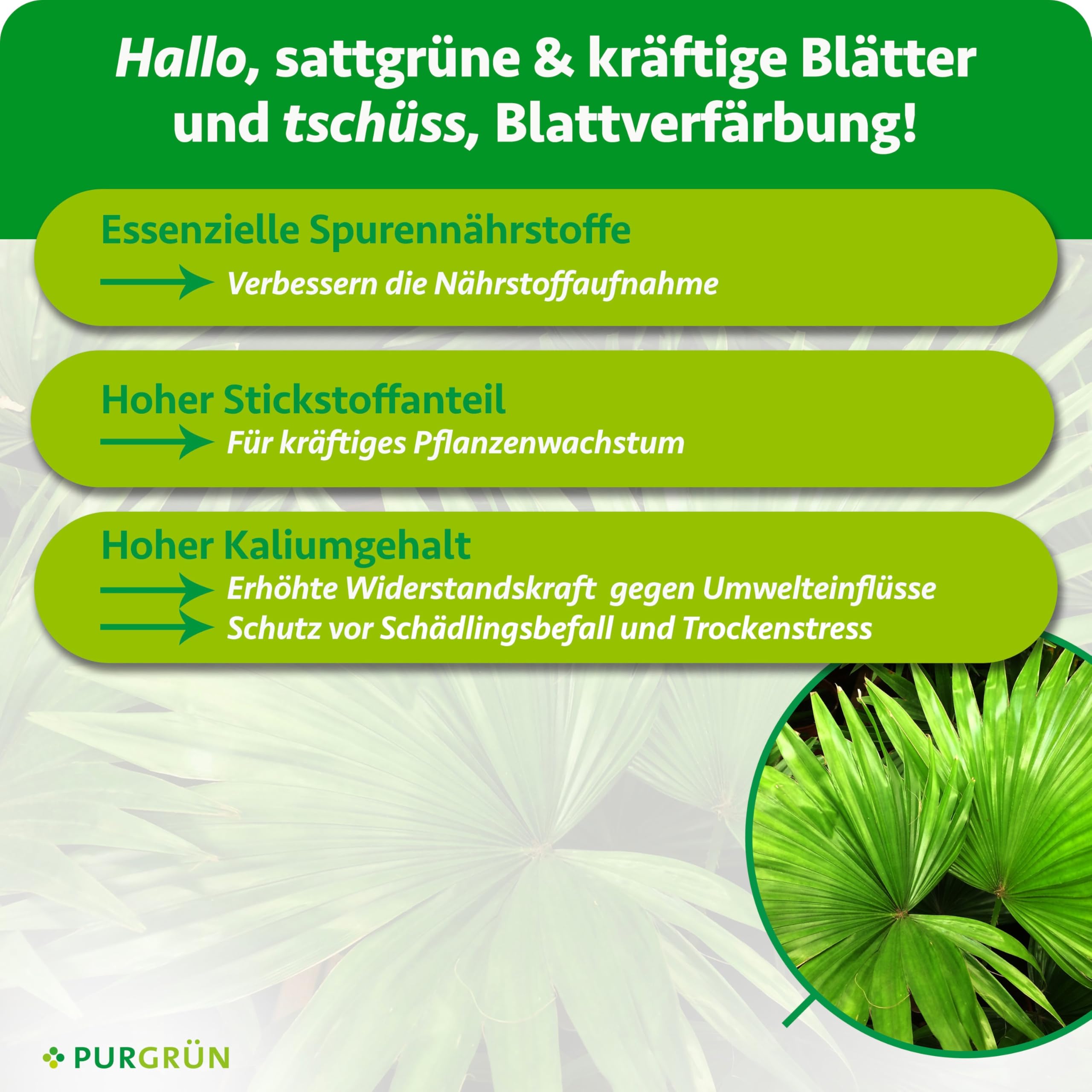 Palmendünger 1 Liter – Schnelles Wachstum dank extra Stickstoff – Guano für kräftige Palmwedel – Vollspektrum-Nährstoffe – Konzentrat für ca. 400 Liter Gießwasser – Premium-Flüssigdünger