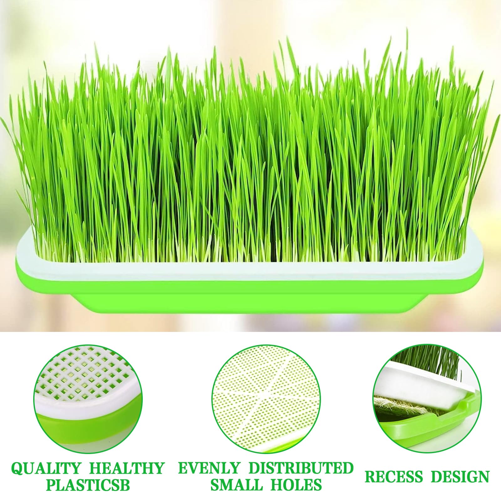 5 Pezzi Vassoi per la Germinazione Dei Semi Germogliatore Per Semi Vassoi per Semi 34X25cm Vassoio di Germinazione di Grande Capacità Propagatore Idroponico Sano Senza BPA
