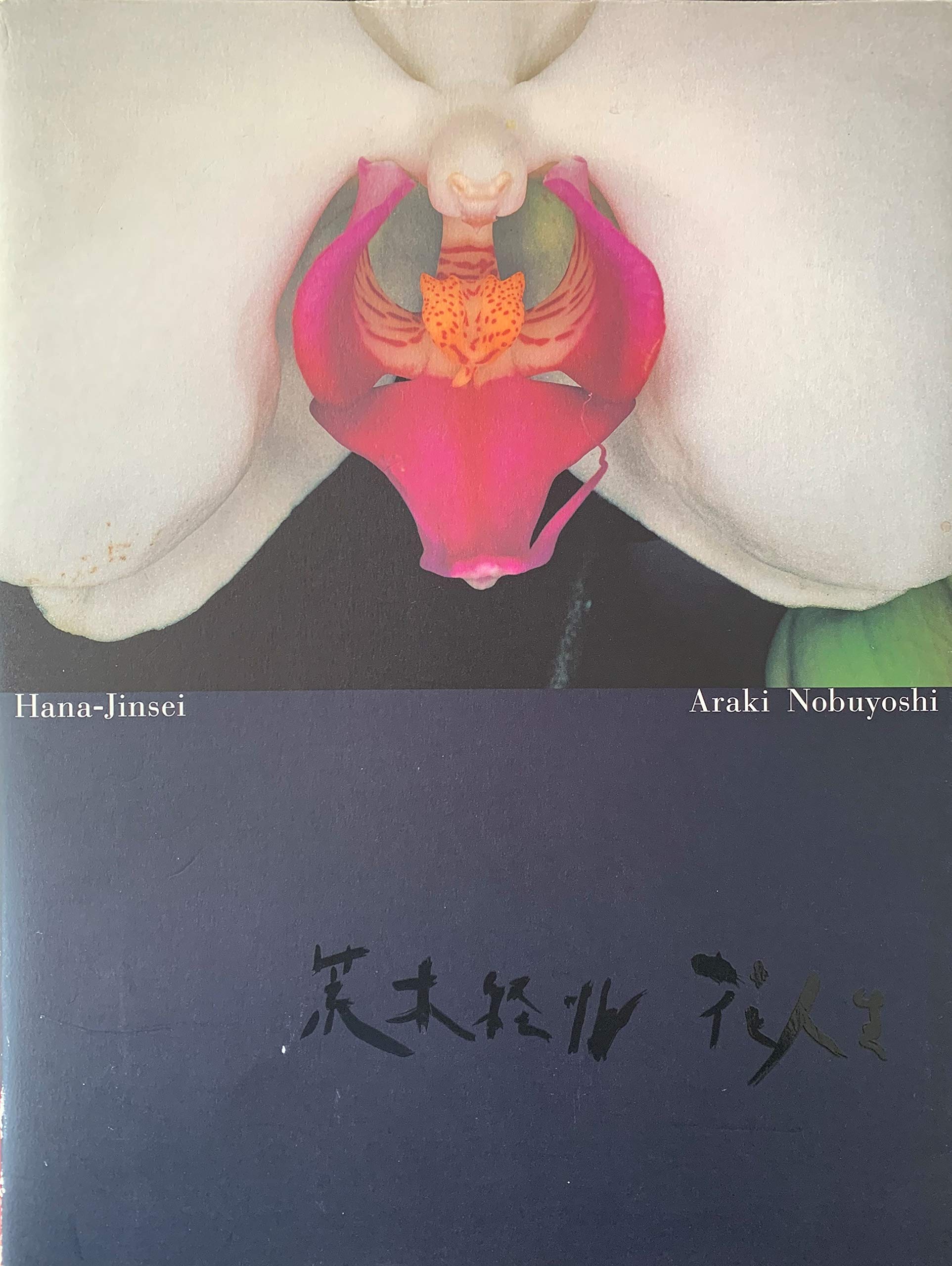 荒木経惟 花人生 | 何必館・京都現代美術館 編 |本 | 通販 | Amazon