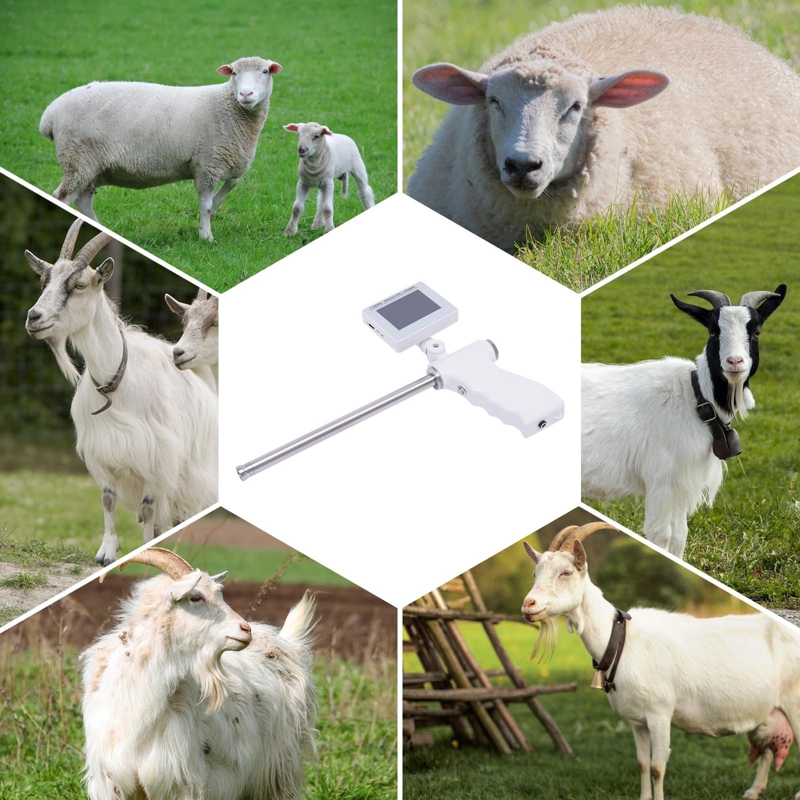 Tragbares Besamungsset, Veterinär-Zuchtset