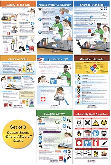 NewPath Learning Safety in The Lab Bulletin Board Chart Set (Pack of 8)