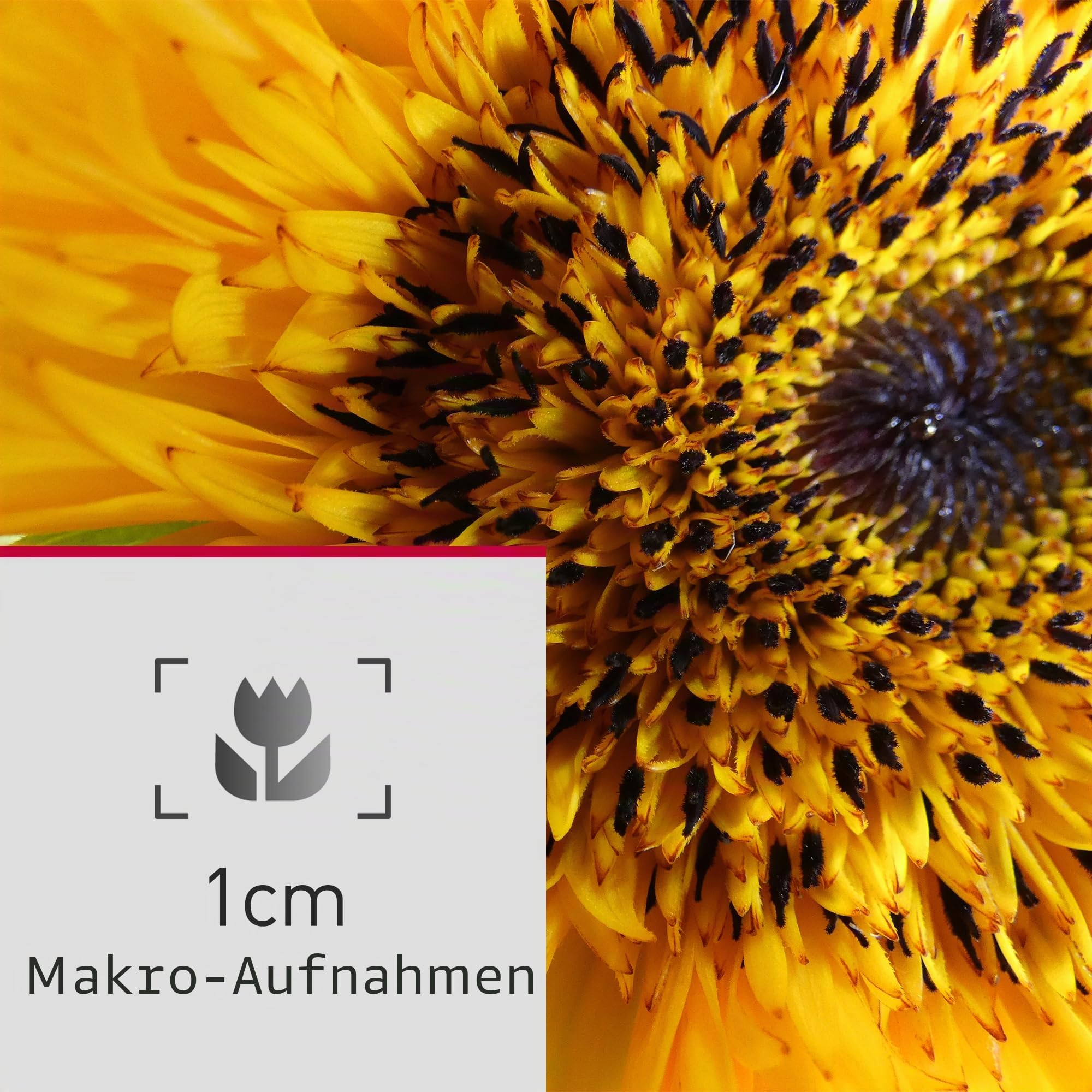 Panasonic Lumix DC-FZ82DE Bridgekamera mit 20-1200 mm F2.8-5.9 Objektiv, 18,1 MP, 4K Video & Foto, OLED Live-View-Sucher, LCD-Touchscreen, USB-C, Schwarz