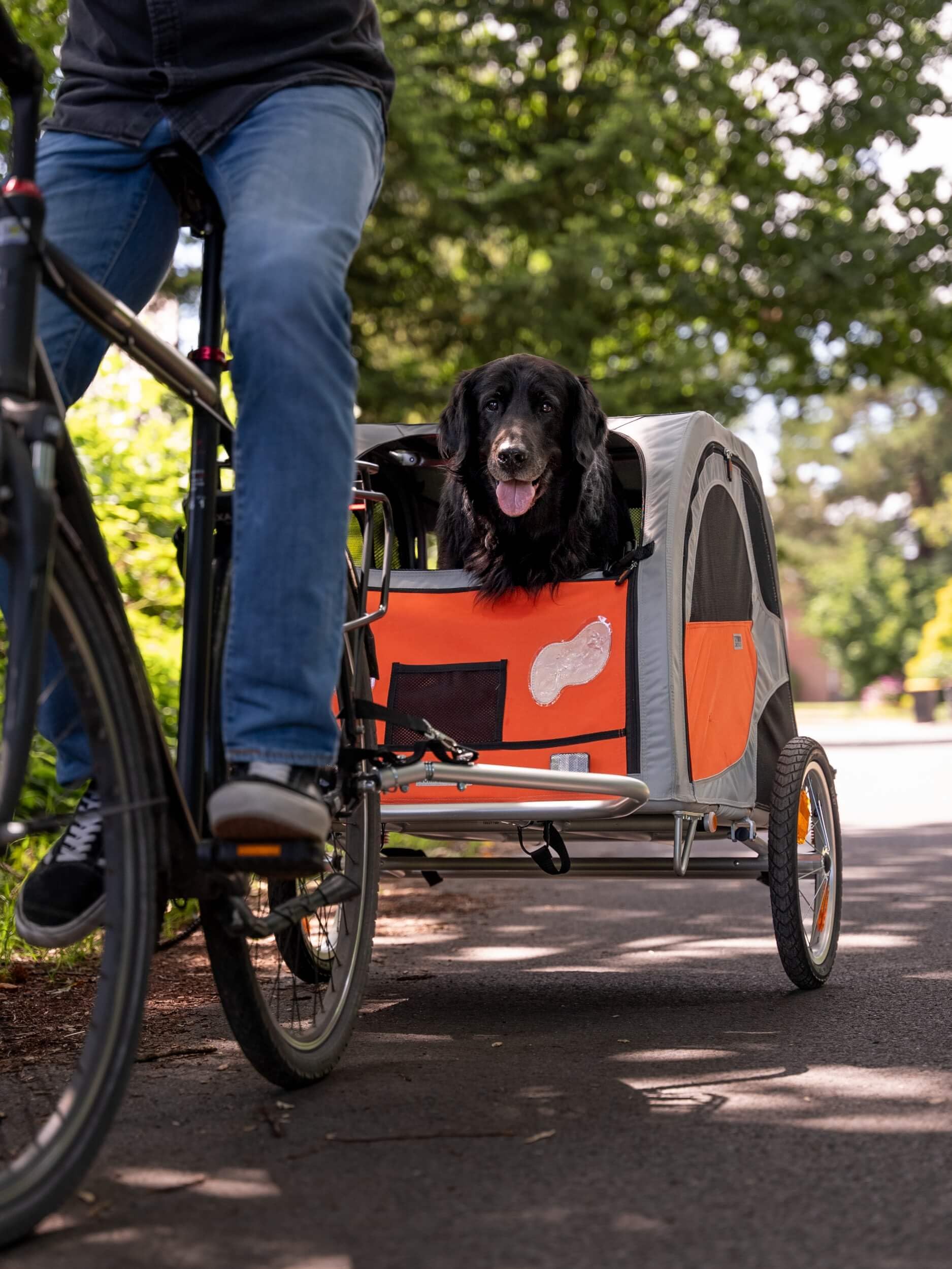 TrendPet Comfort Wagon L, Aluminiumhänger mit Federung - Hochwertiger, gefederter Fahrradanhänger für große Hunde