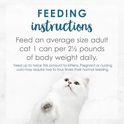 Miniatura 9 de Purina Fancy Feast - Comida para gatos húmeda, en salsa, enlatada y grillada