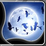  Fabelhafte Fotos, die dein Gerät verschönern werden