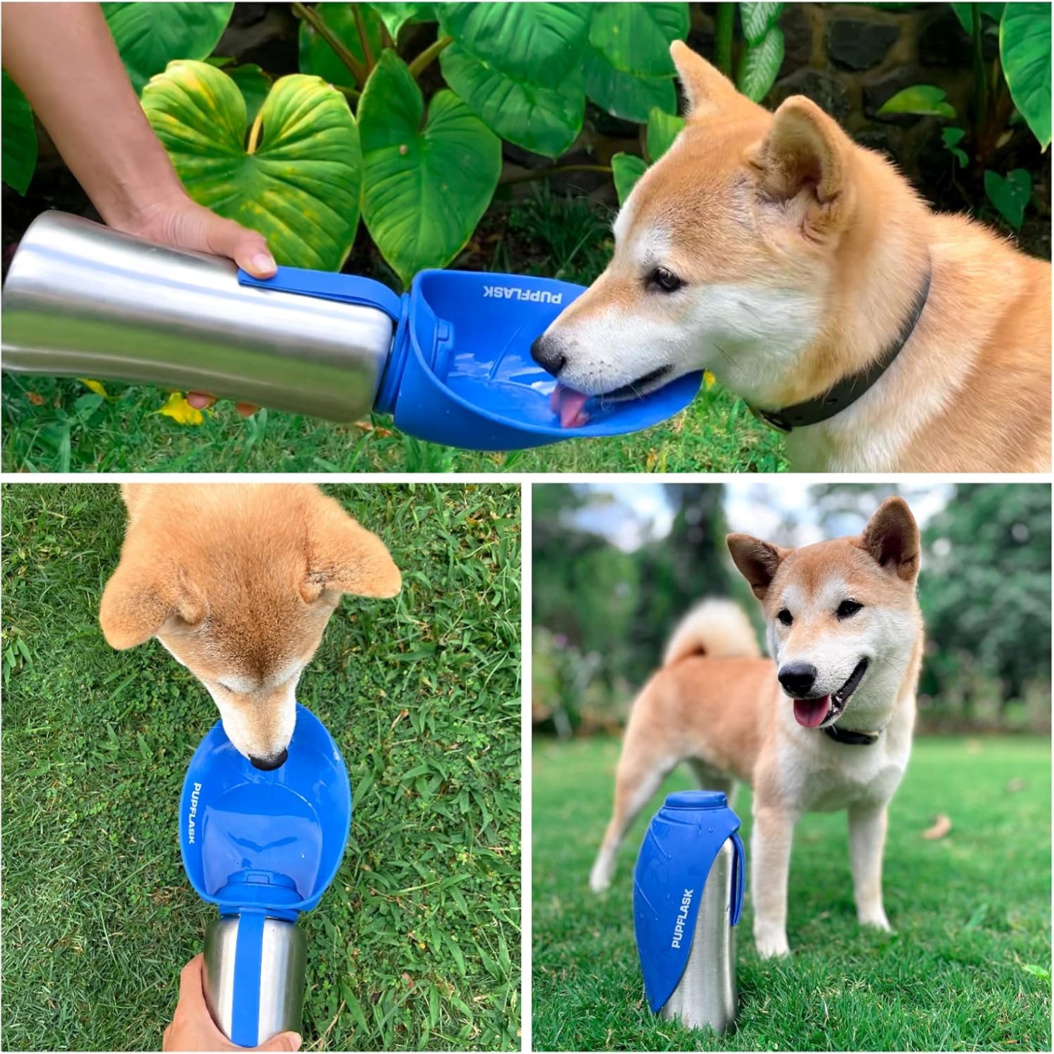 pupflask