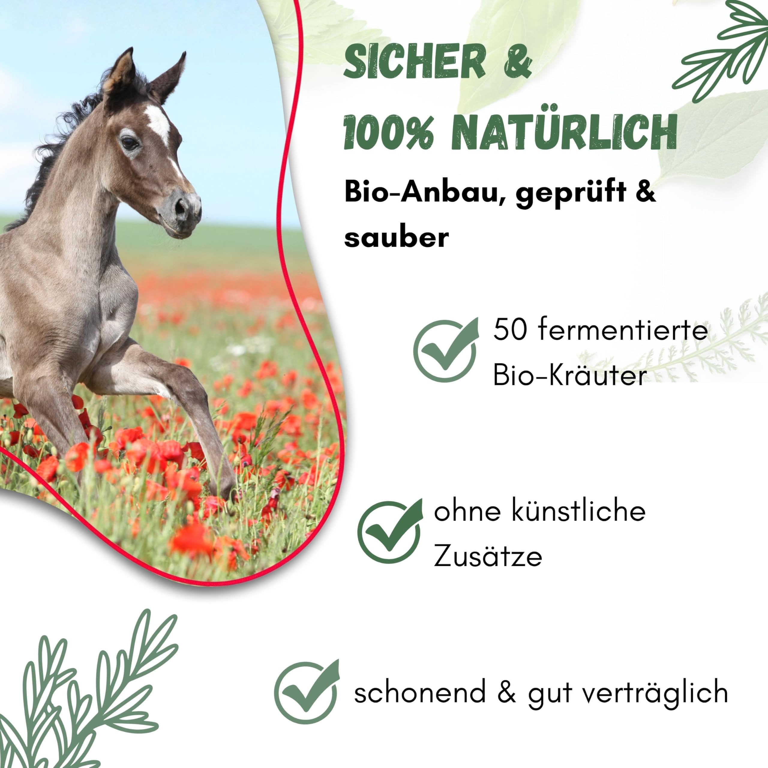 Mazerat-pro Horse 50 fermentierte Bio-Kräuter Ergänzungsfutter für Pferde