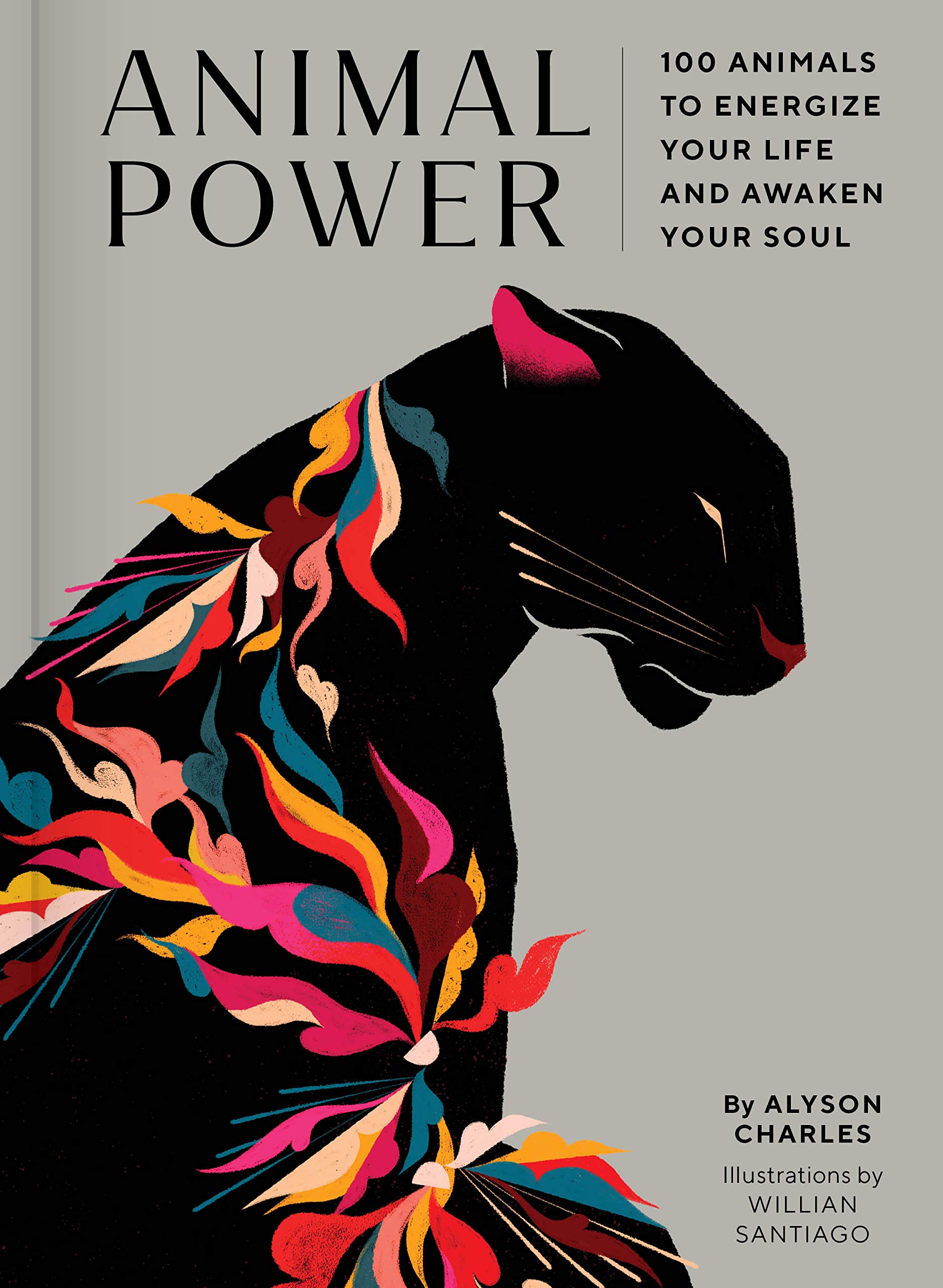 Animal Power: 100 Animals to Energize Your Life and Awaken Your Soul Hardcover – March 1, 2022