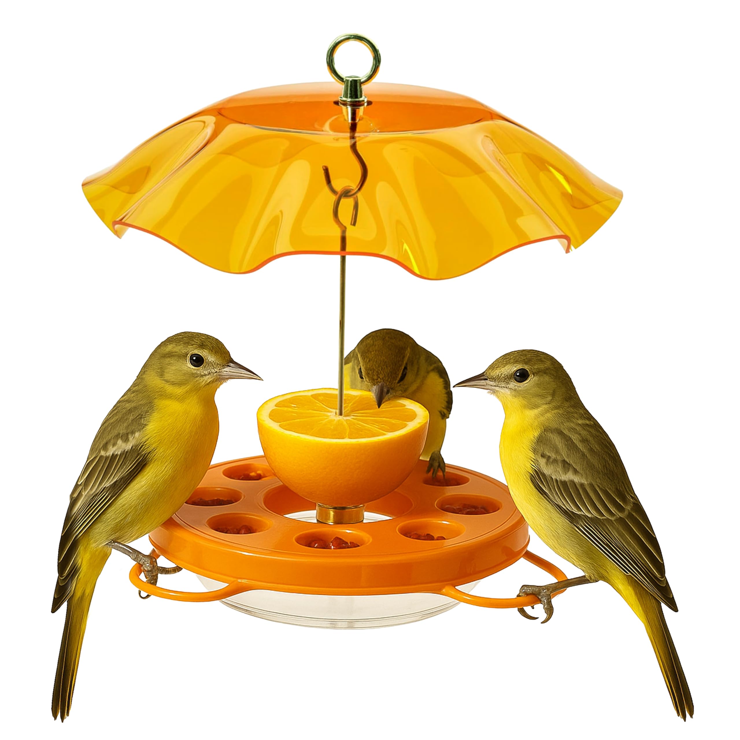 Birds Choice Oriolefest Oriole Bird Feeder