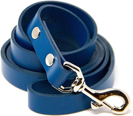 logical leather leash