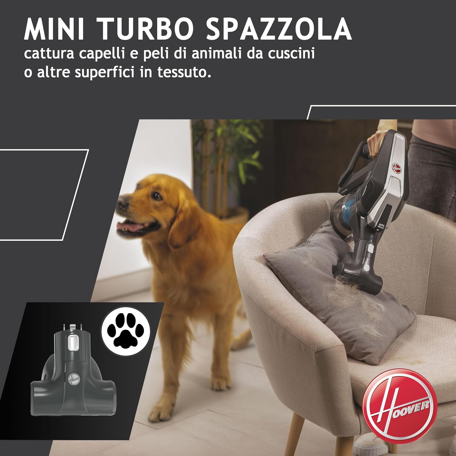 Hoover HF300 HF322TP 011 with Mini Turbo Brush