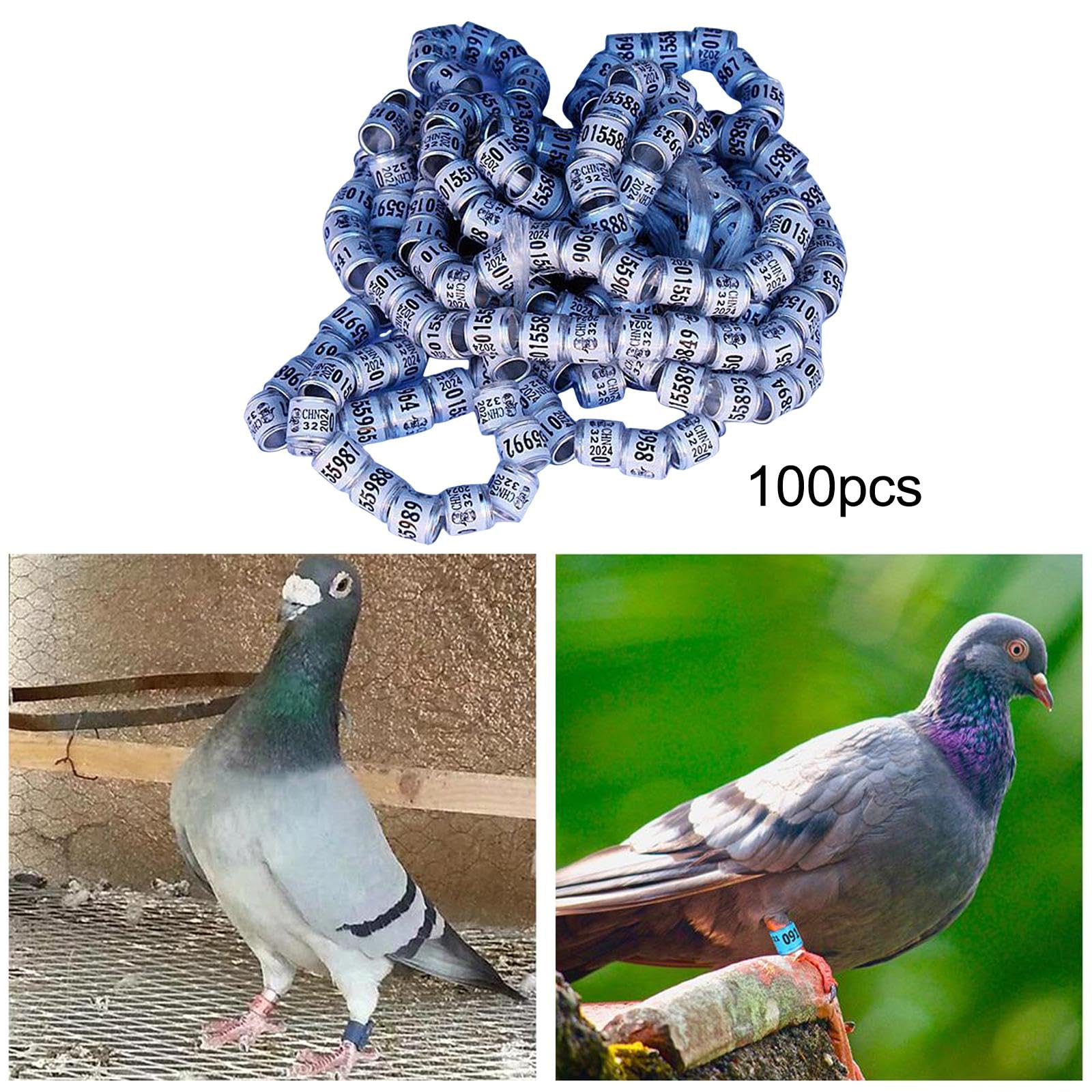 Amazon | JISADER 100個 アルミ鳩足バンド 鳩足リング 2024 耐久性の