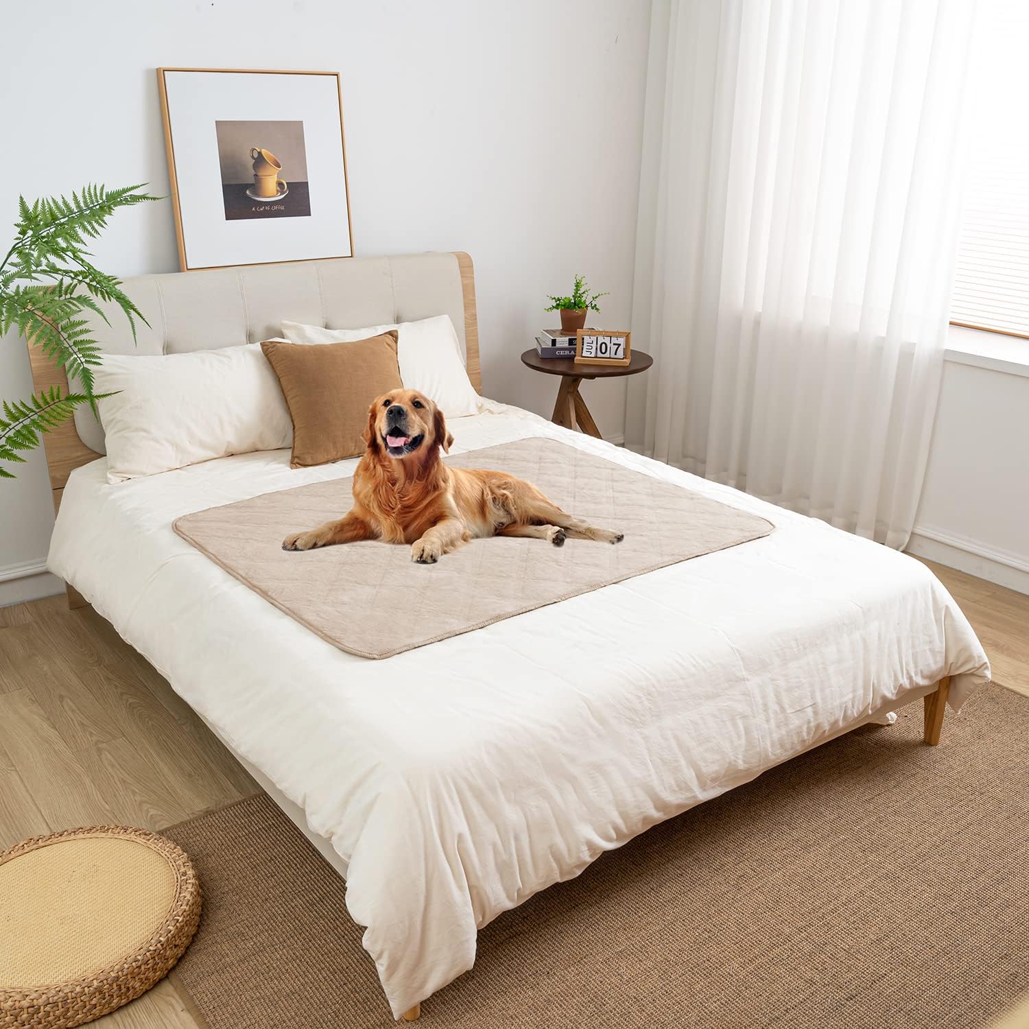 fuguitex Waterproof Dog Blanket Bed AntiSlip Cover Fleece Lightweight