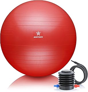BODYMATE Swiss Ball - Gymnastics ball with free e-book incl. Pump - Fitness Yoga Core