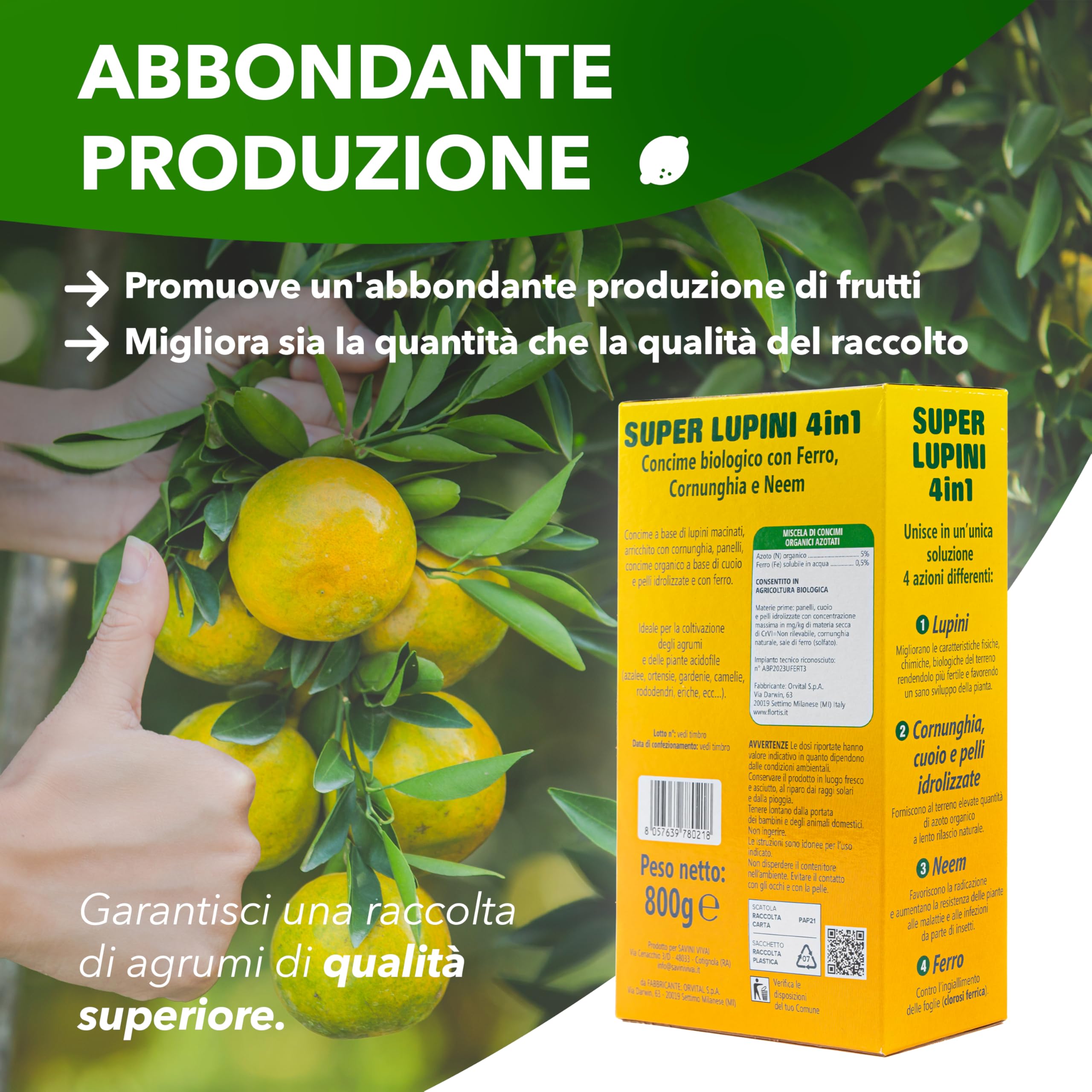 SAVINI VIVAI engrais aux agrumes Super Ground Lupins Engrais organique 4 en 1 pour une production abondante comme les citrons, mandarines, oranges en pot et entièrement moulues, 800g