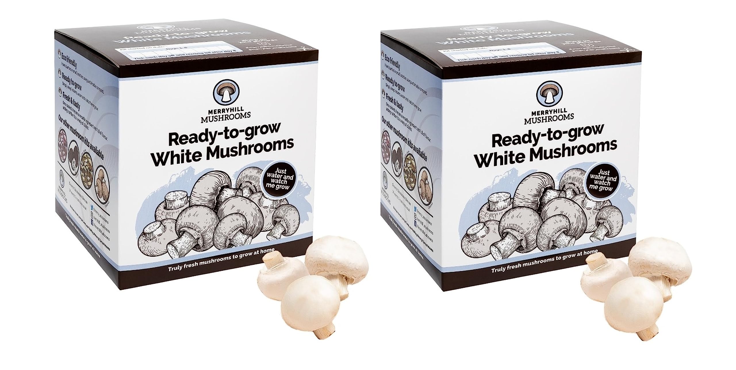 Fresh White Mushroom Growing Kit | Gardening Gifts for Women, Men & Kids | Grow Your Own Kits | Easy & Delicious to Eat | Mushroom Gifts (2 White Mushroom Grow Kits)