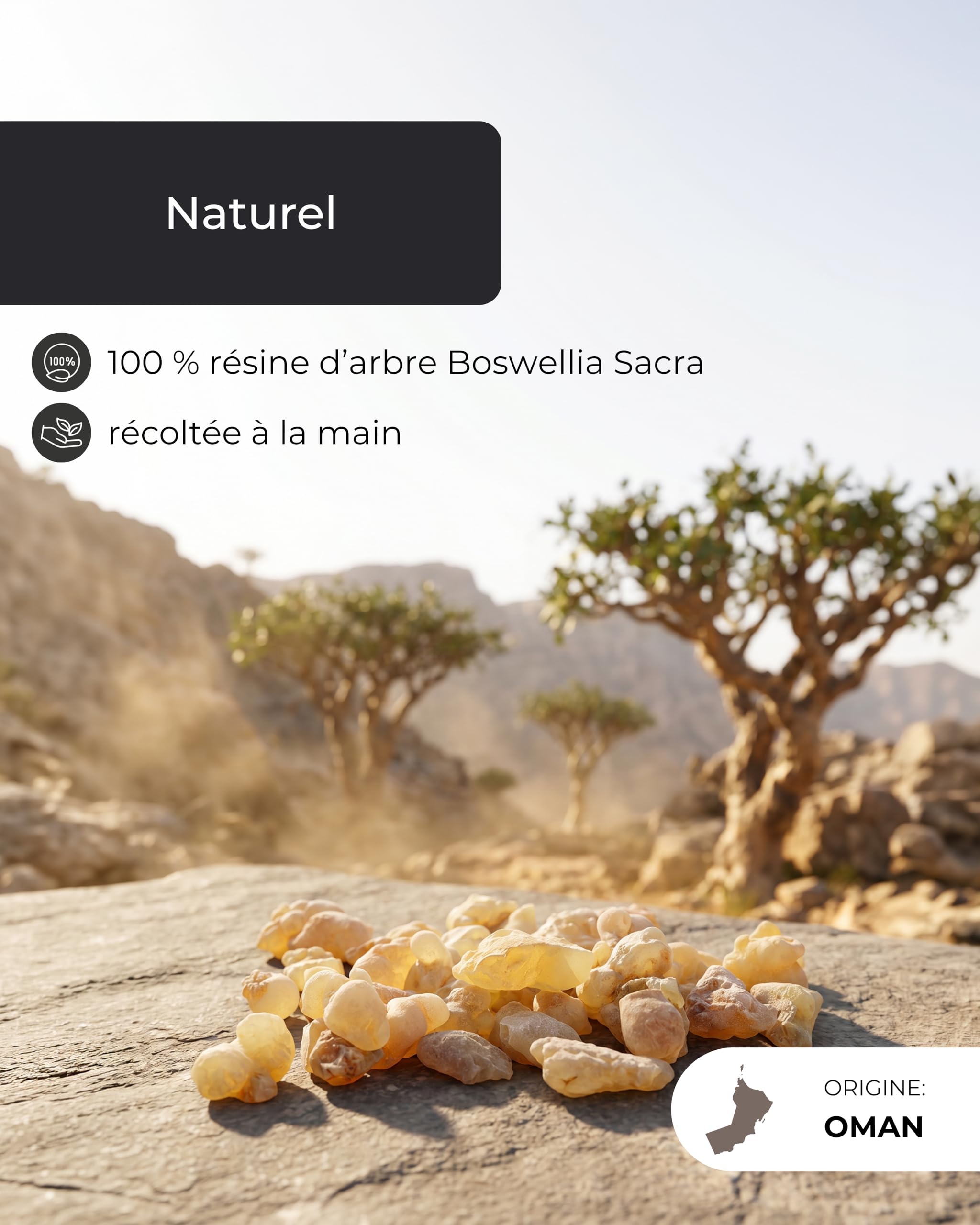 Incensera Oman 1er Choix Encens à Fumer 50 g Boswellia Sacra Frankincense Résine Caoutchouc Arabique