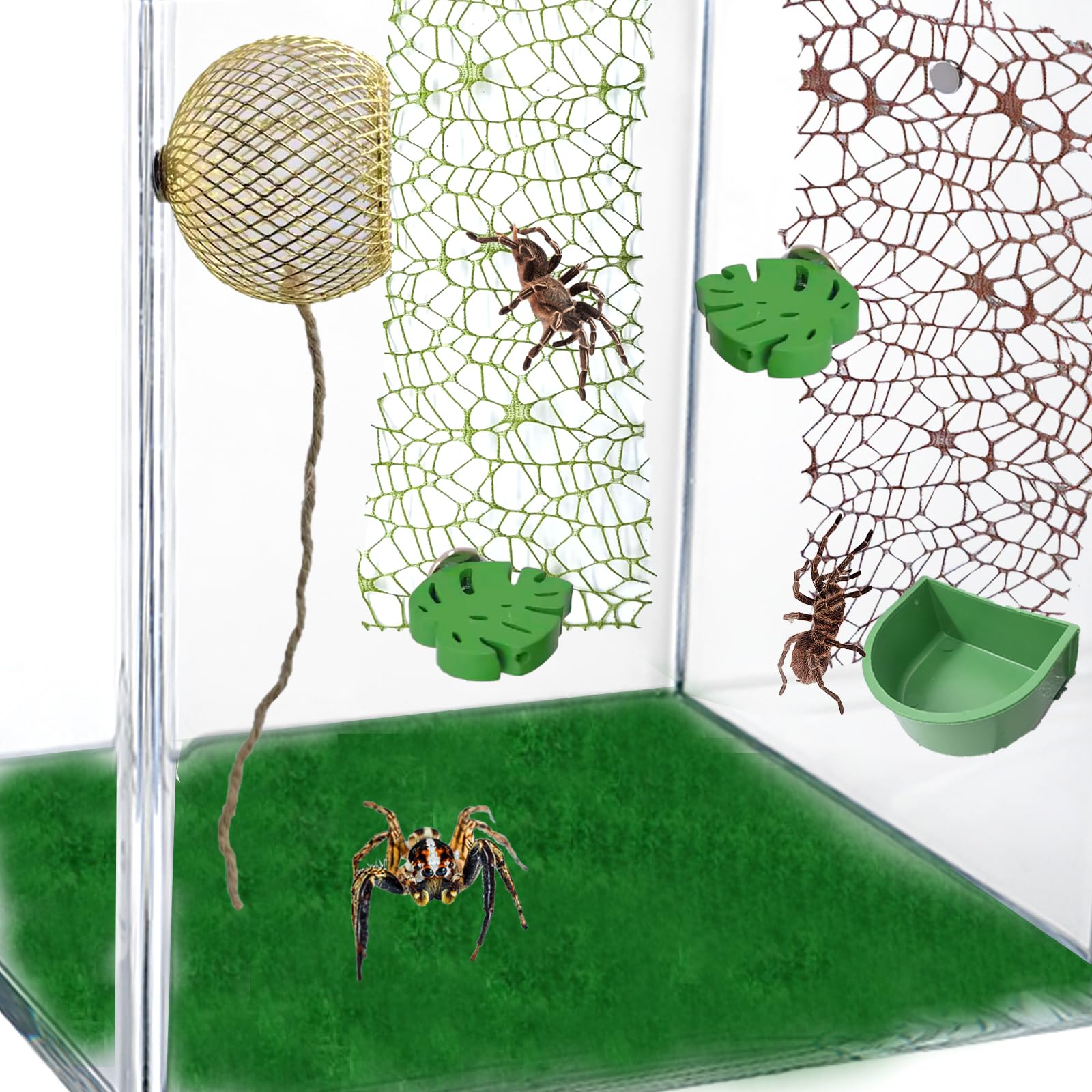 6 Pcs Jumping Spider Accessories Set - Jumping Spider Habitat with Hemp Rope, Leaf-Shaped Magnetic Jumping Spider Enclosure, 2 Pcs Jumping Spider Web