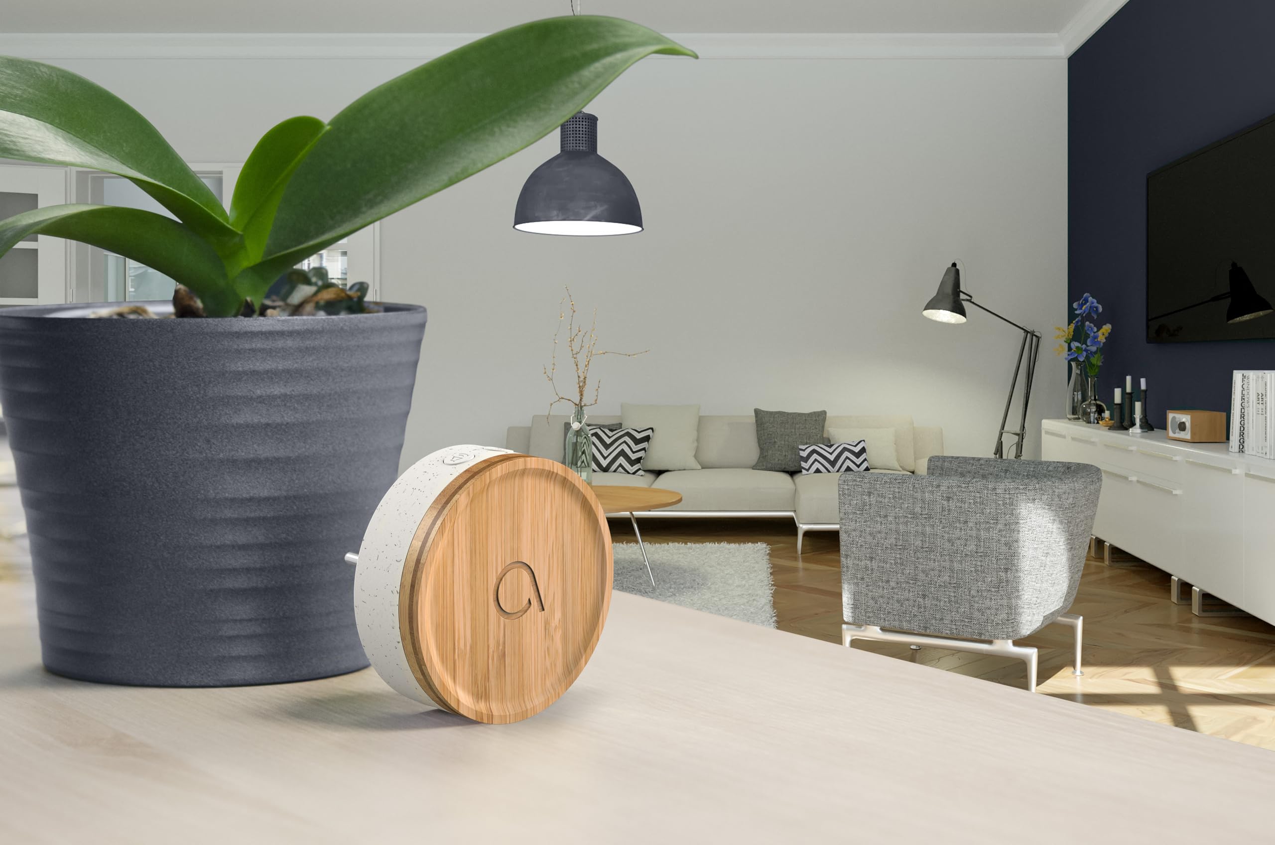 Avidsen Bamboo, Carillon Sans Fil Sans Pile, Sonnette de Porte Étanche IP44, Portée 150m, 32 Mélodies, Design Bois Bambou, Plastique Recyclé, Prise Secteur, Écologique, Installation Facile, Blanc