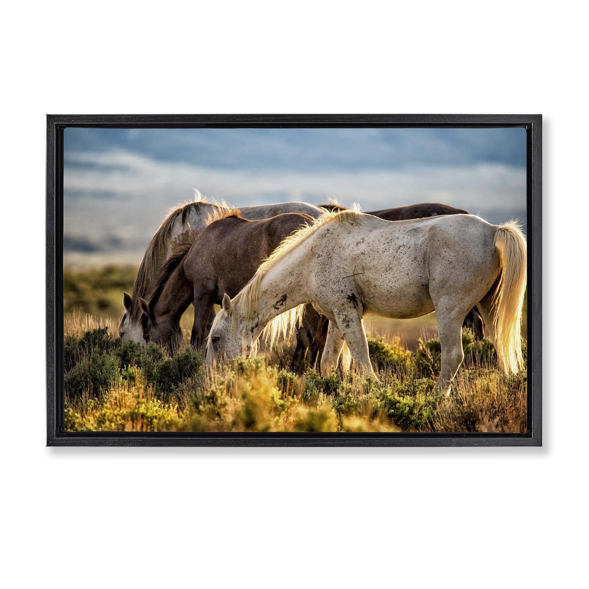 Stupell Industries Evening Horse Grazing Meadow 'Equine Evening Graze', Floating Frame Canvas Art, Black, 31 X 21 Inches, Easy To Hang And Sturdy, Made In Usa, By Tim West