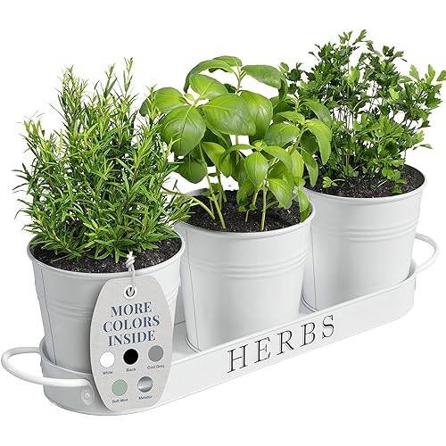 Barnyard Designs Indoor Herb Garden Planter Set with Tray, Metal Windowsill Plant Pots with Drainage for Outdoor or Indoor Plants, Set/3 (White)