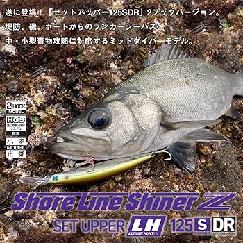 ダイワ ショアラインシャイナーZ セットアッパー LH ランカーハンター 楽天市場】ショアラインシャイナーZセットアッパーLH ランカー