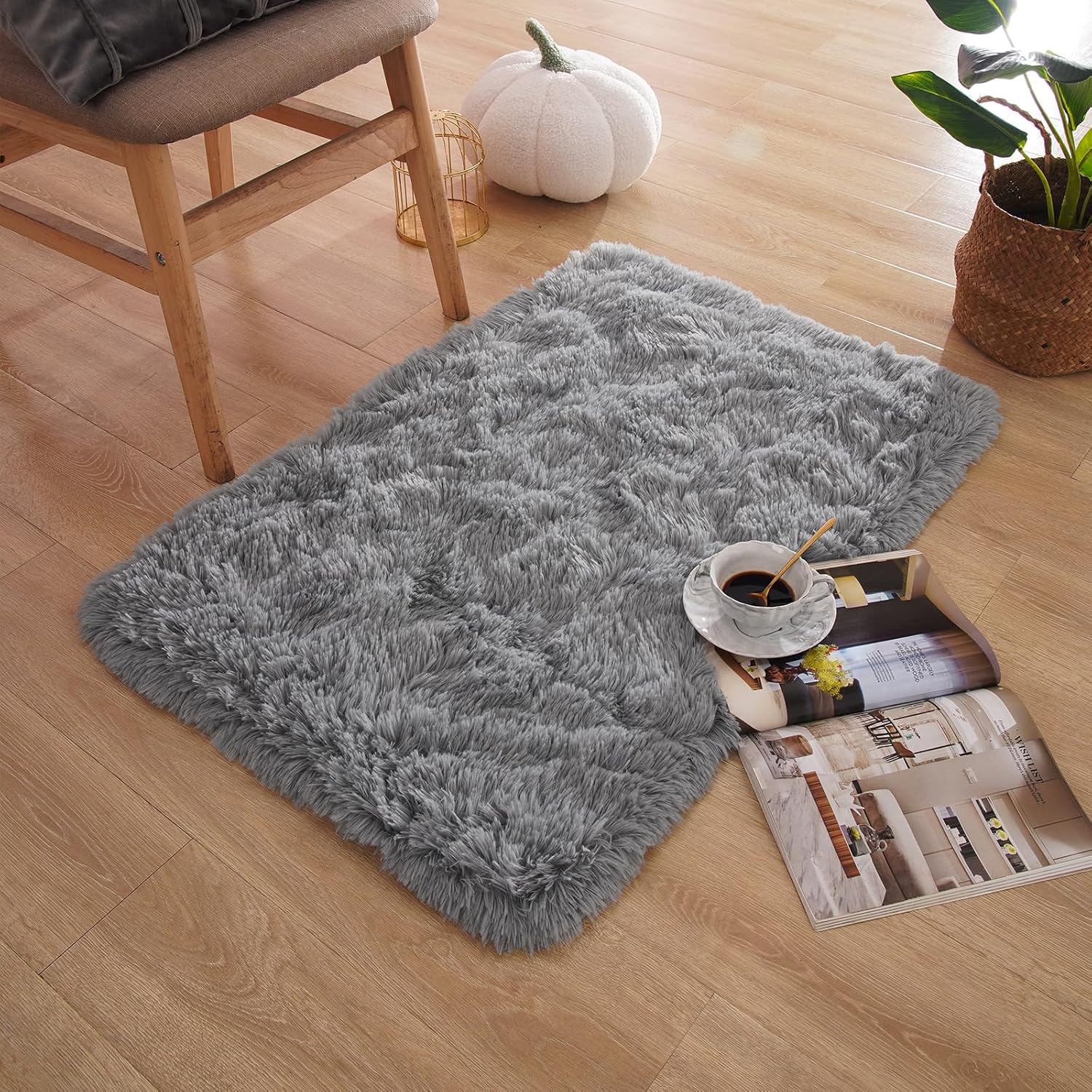 Small Bedside Rug, 2x3 Non Slip Fluffy Shaggy Entryway Throw Rugs for Bedroom Living Room, Indoor Floor Carpet for Kids Girls and Boys, Nursery Rooms Mat, Home Decor Aesthetic, Light Grey Light Grey 3' x 2' (Rectangular)