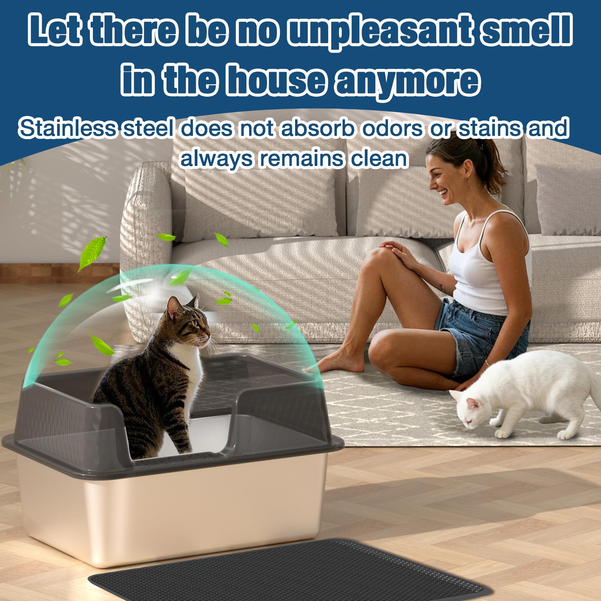 View 7