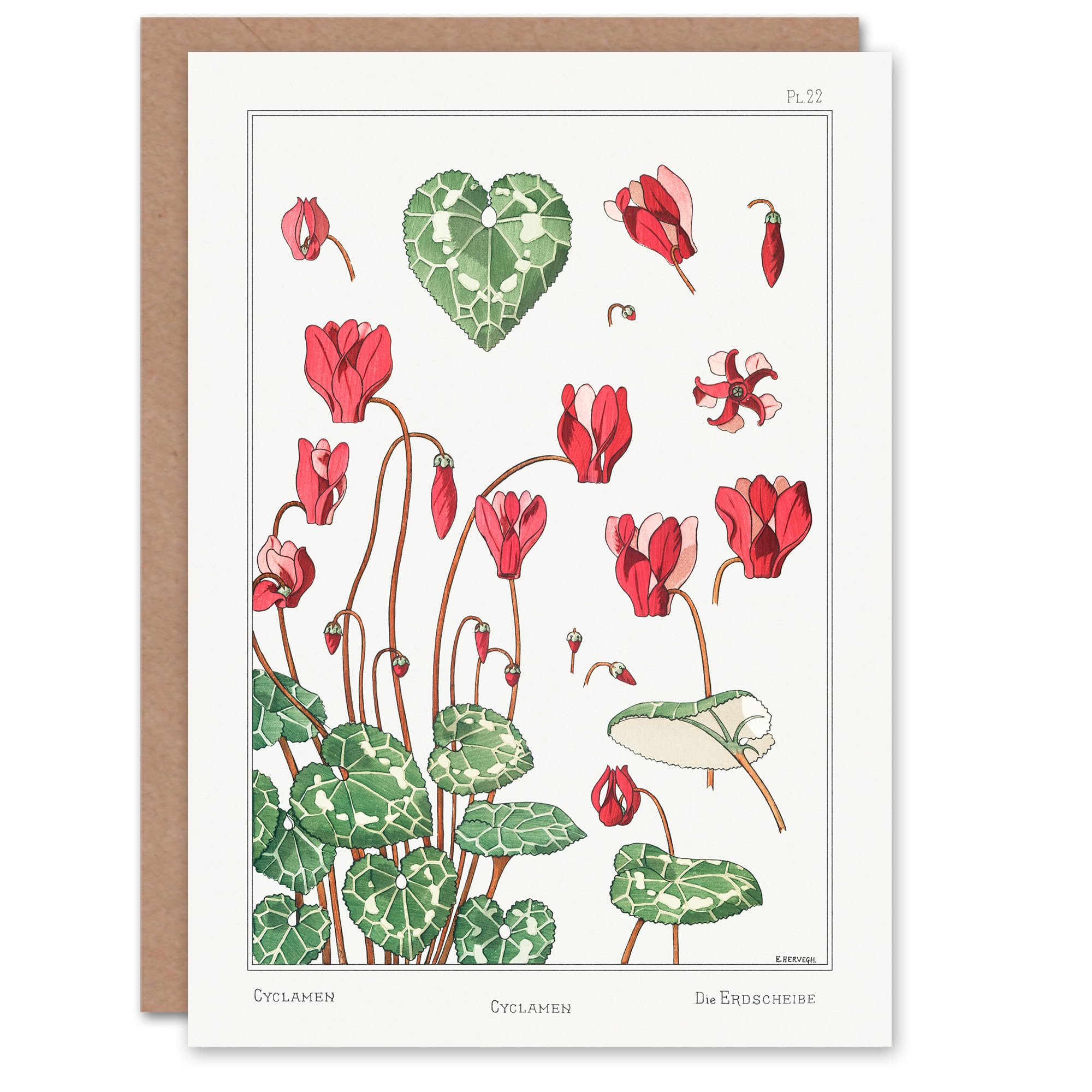 Artery8 Maurice Pillard Verneuil Art Card Cyclamen Flower Plant