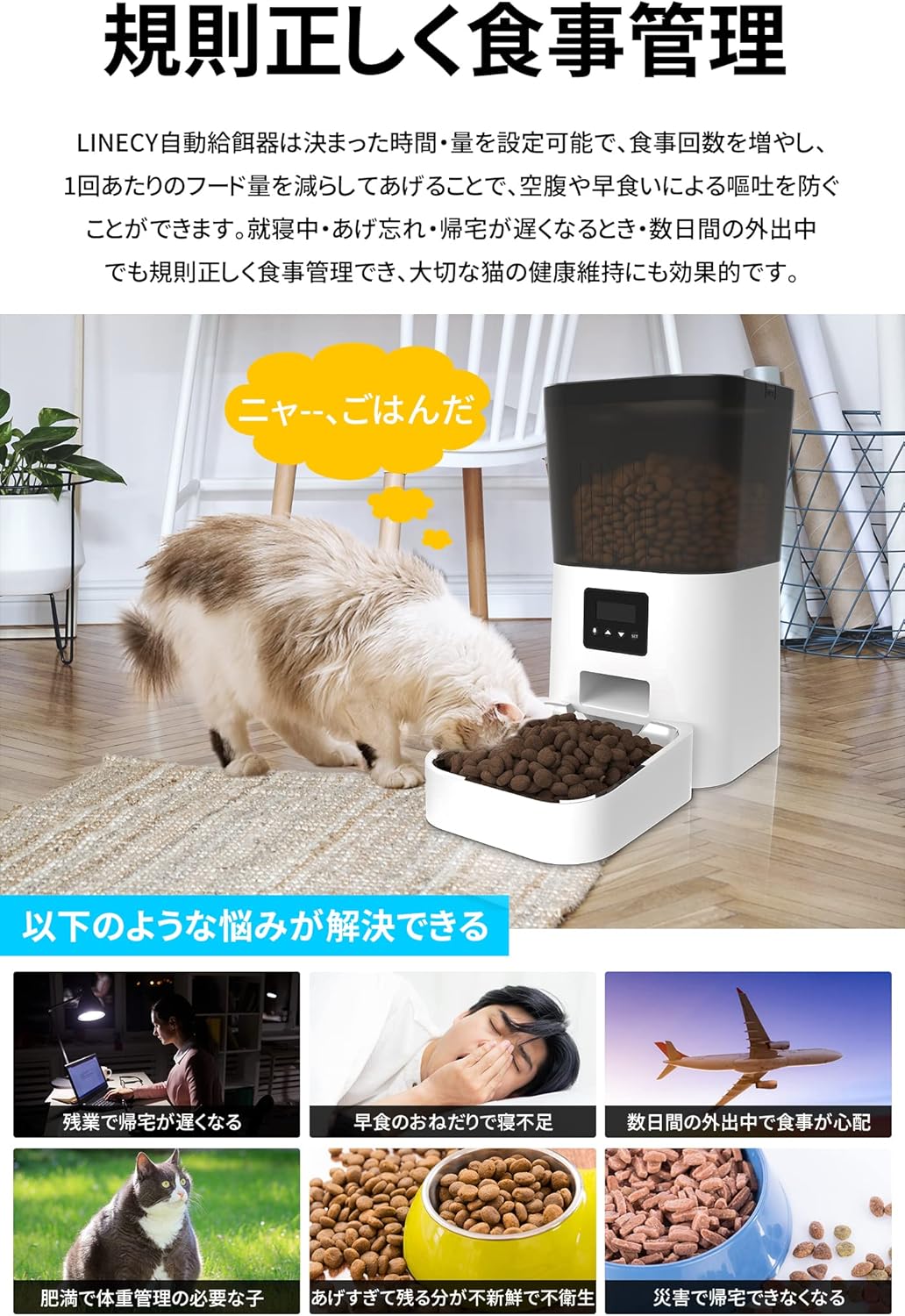 自動餌やり器 自動的 餌をやる 密封保存 送料無料 食器 かわいい 中小型犬用 自動餌やり機 操作簡単 犬用 給餌器 少量 自動給餌器 1食分 お留守対策 フードディスペンサー お留守番 オートペットフィーダー ペット 一食分 ペットフード タイマー式 最大48時間 餌の鮮度を