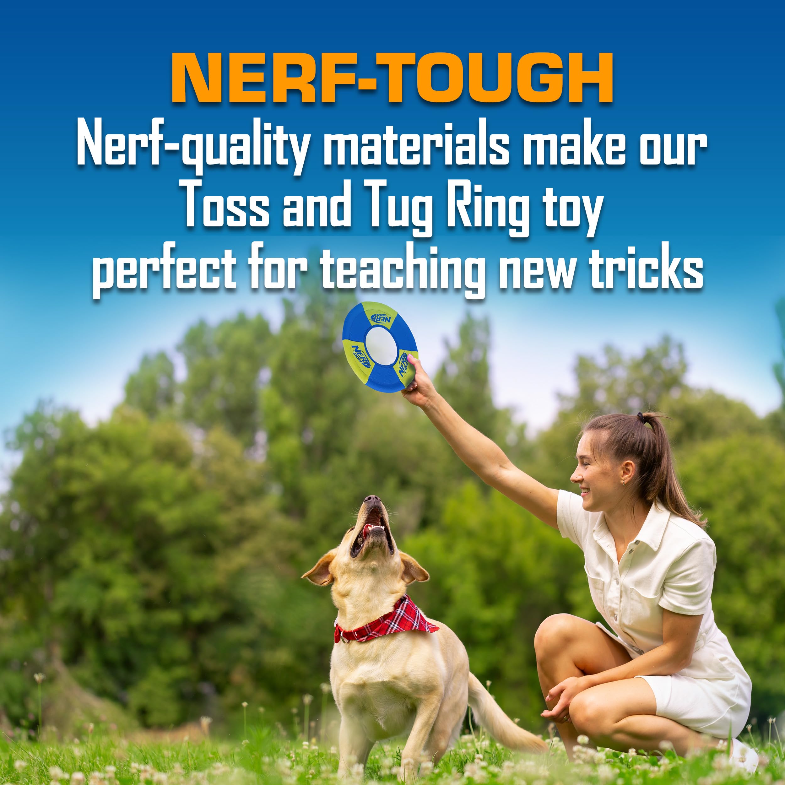 Nerf Dog Lot de 2 Jouets pour Chien avec Anneau à Lancer et à Tirer - Disque Volant, léger, Durable et résistant à l'eau - 22,9 cm de diamètre - pour Les Races de Taille Moyenne - Vert et Orange