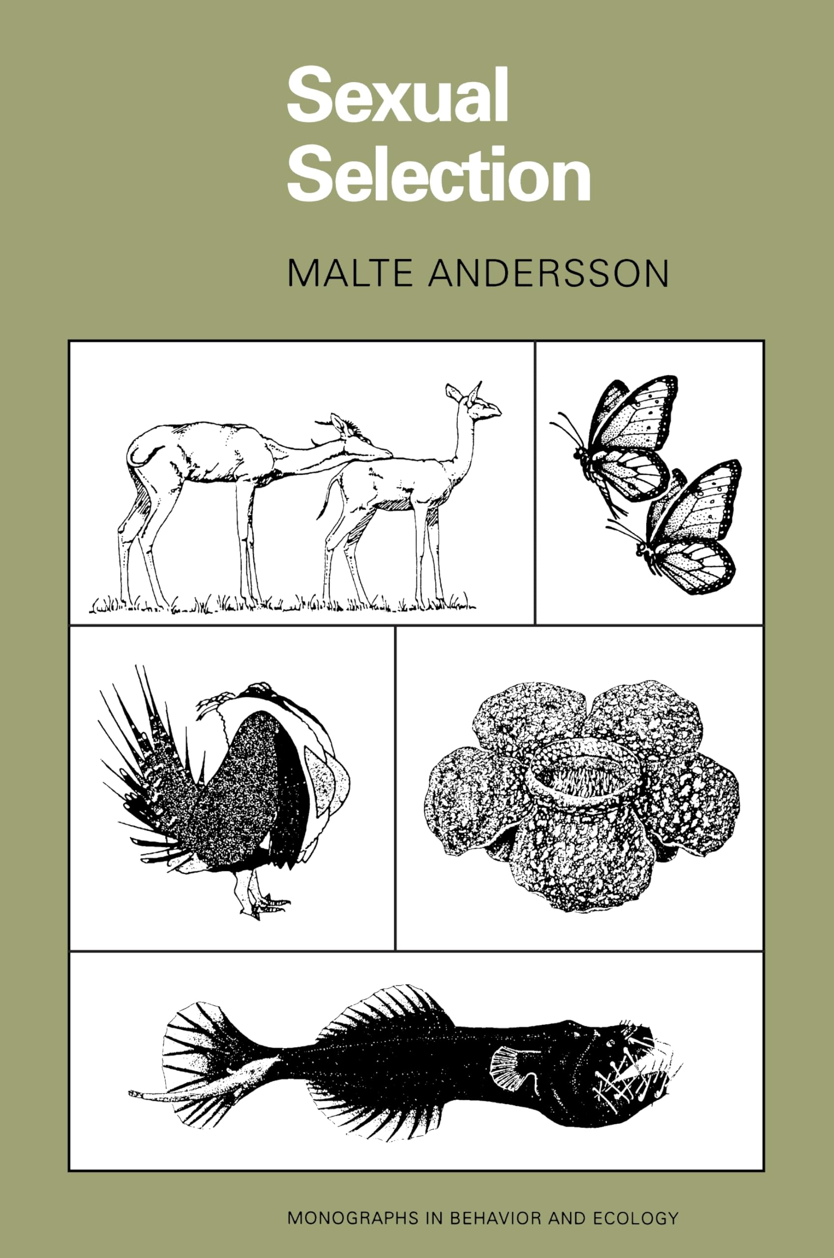 Sexual Selection: 72 (Monographs in Behavior and Ecology)