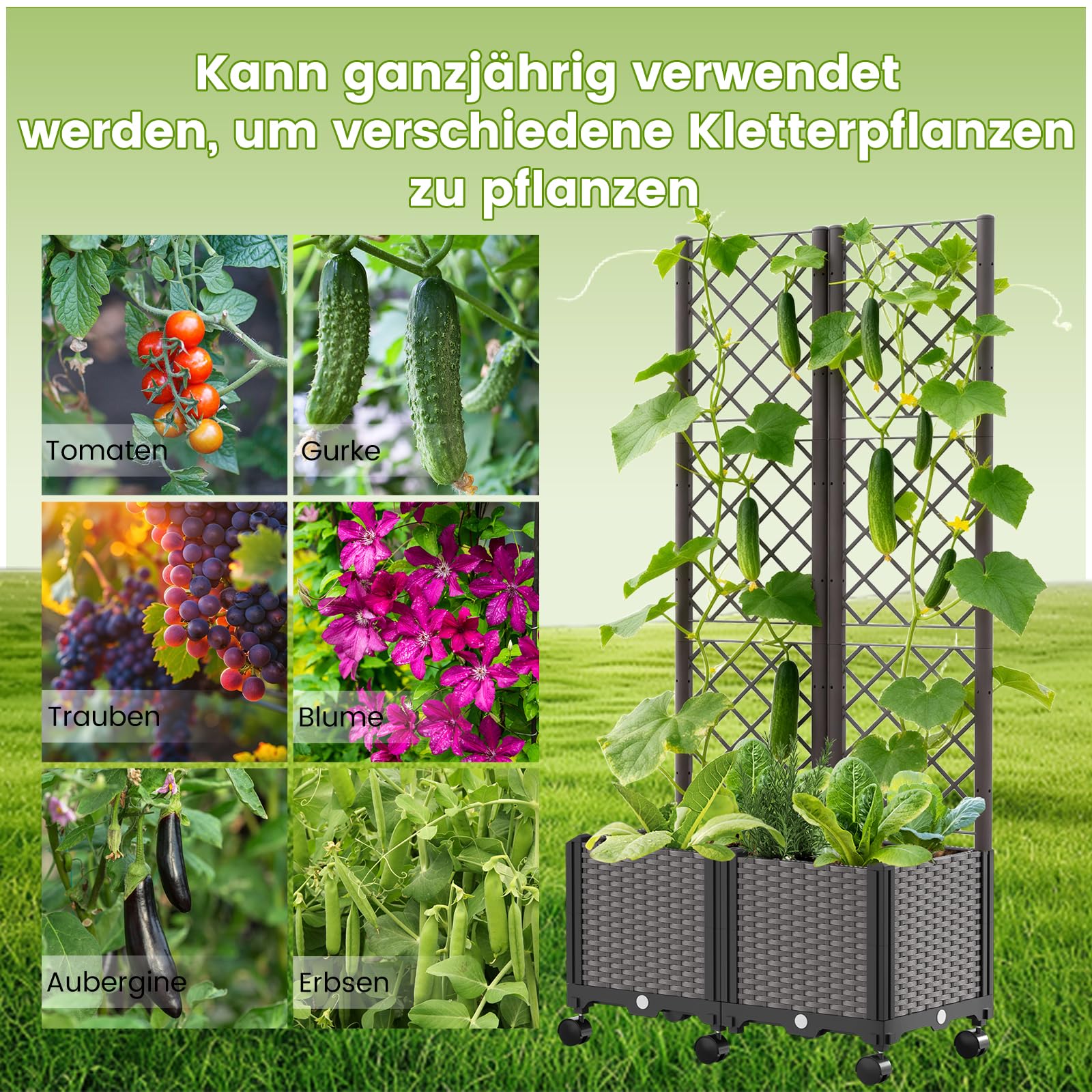 SUNYRISY Dual Hochbeet mit Tomaten Rankhilfe, Blumenkasten mit Rankgitter und Rollenrad, Selbstbewässerung Pflanzkasten Pflanzkübel mit Sichtschutz für Kletterpflanzen Tomate Gurken Rosen