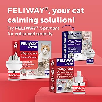 FELIWAY Classic 3 X 30 Day Cat Calming Odourless Refills For Pheromone Diffuser, 3 X 48ml - Helps Solve Common Signs Of Stress In Cats & Kittens, Veterinary Recommended, Drug-free, Clinically Proven