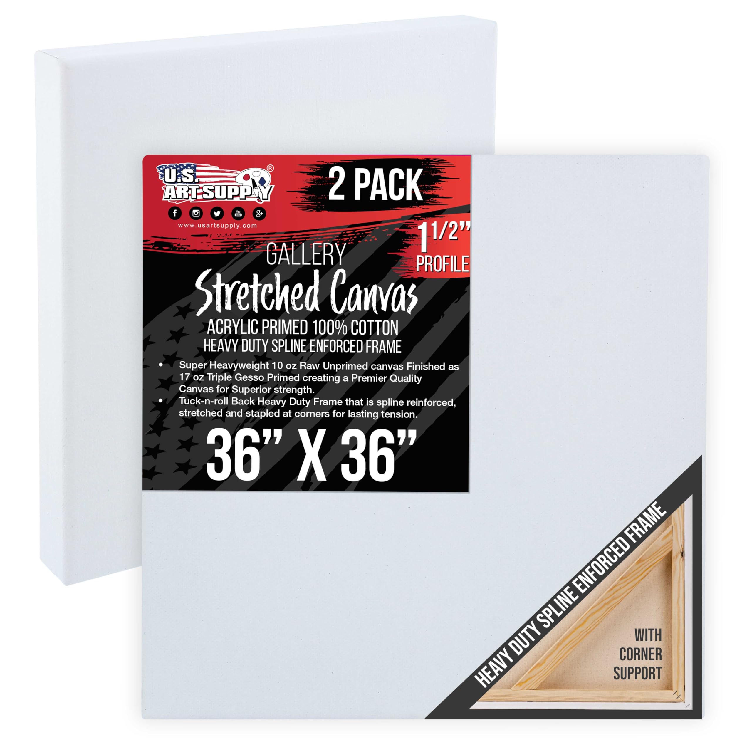 Amazon.com: U.S. Art Supply Rectangle Stretched Canvas for