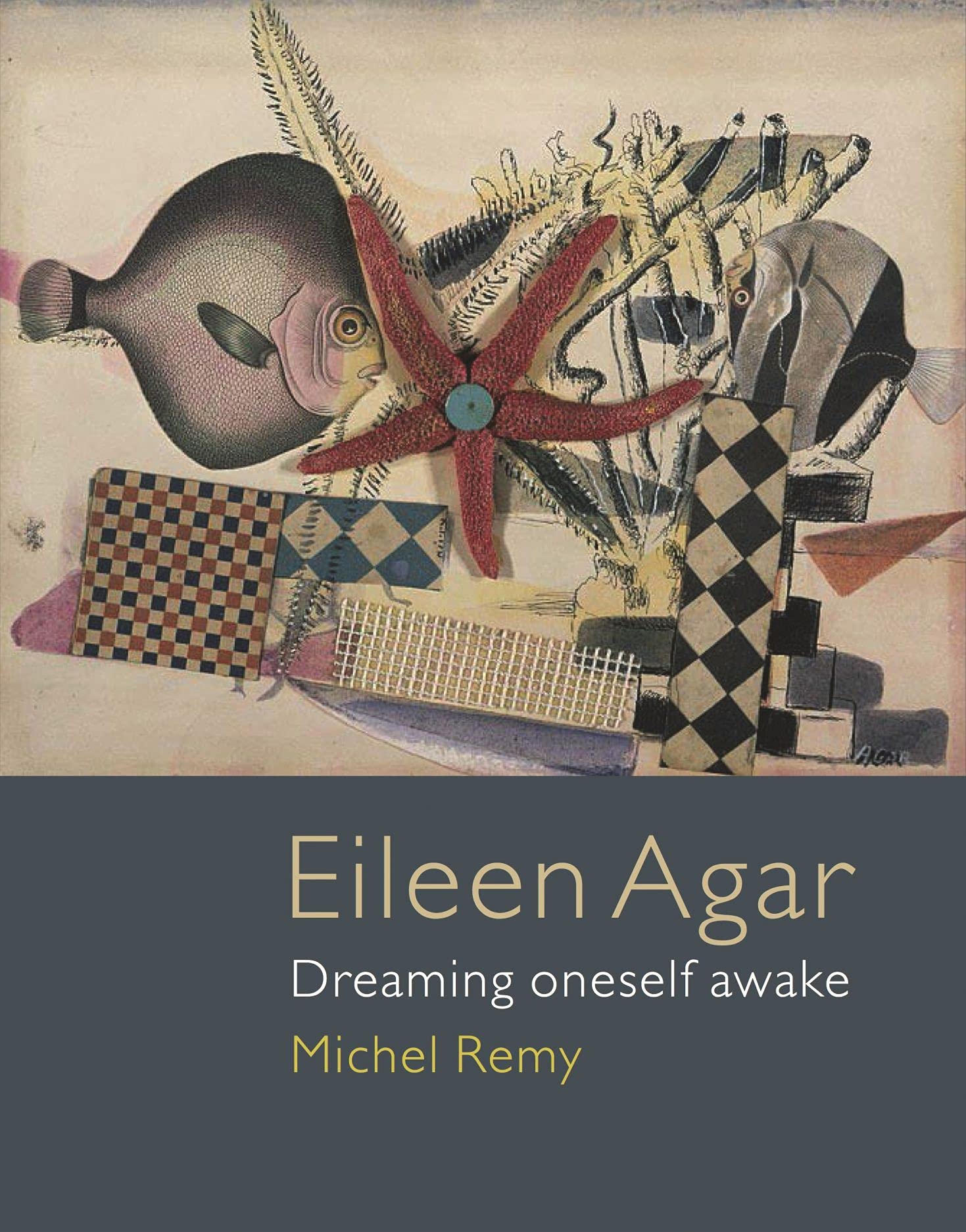 Eileen Agar Dreaming Oneself Awake by Michel Remy (Hardback Book)