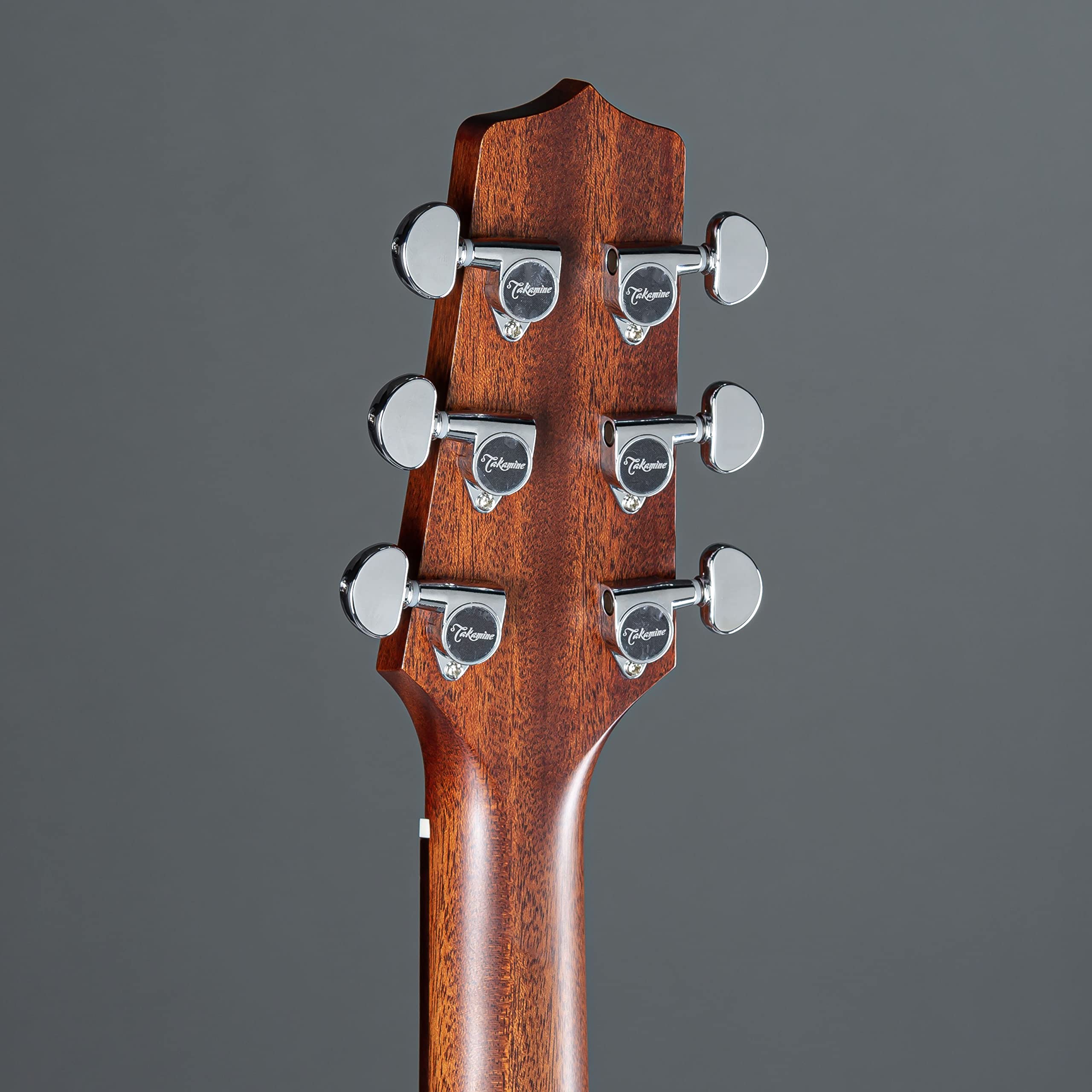 タカミネ　エレアコ Takamine DMP50S WR エレアコギター セミハードケース付属 【島村楽器