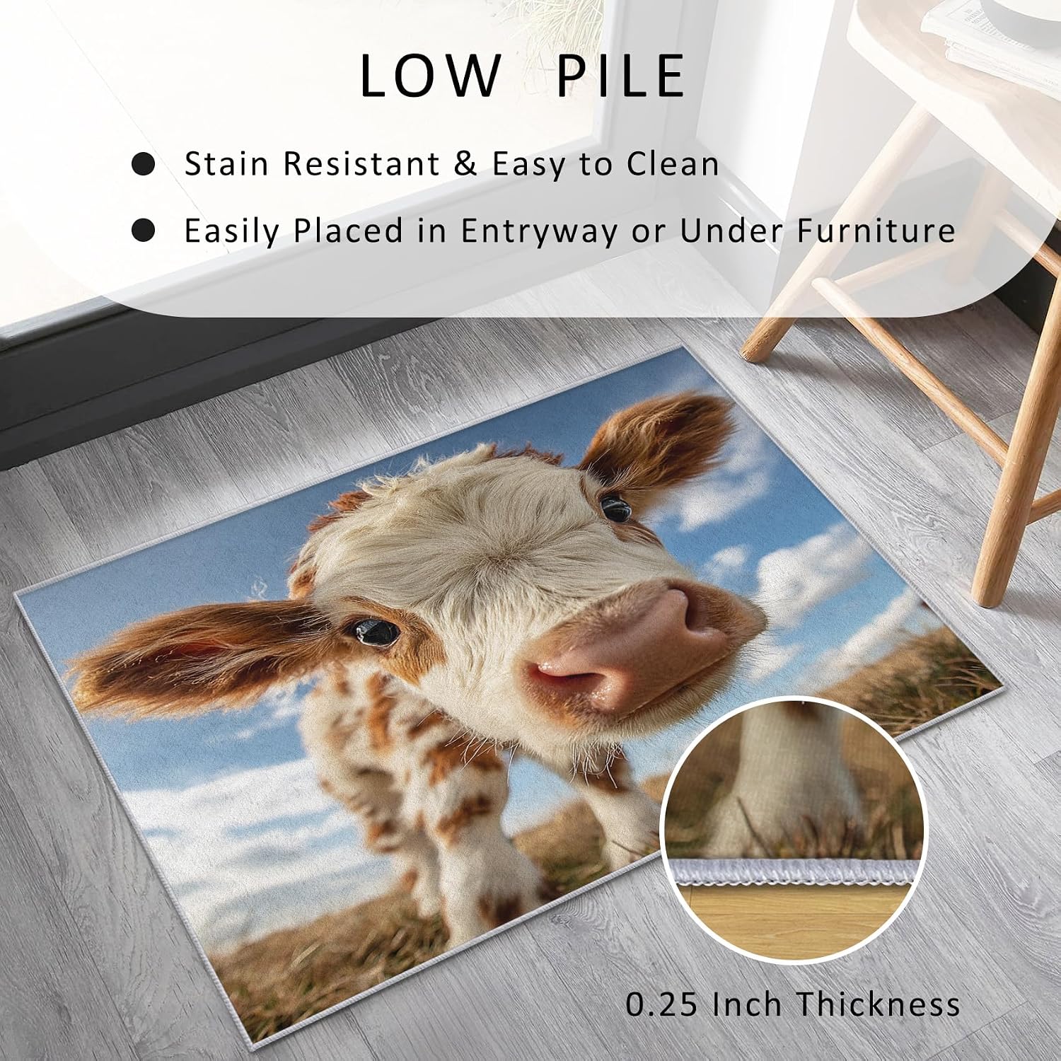 Funny Cow Area Rugs 2x3 Living Room, Farm Animal Rustic Farmhouse Design, Soft Washable Bedroom Rug, Cattle Home Decor Carpet, Low Pile, Non Slip, Kid & Pet Friendly (2P-43)