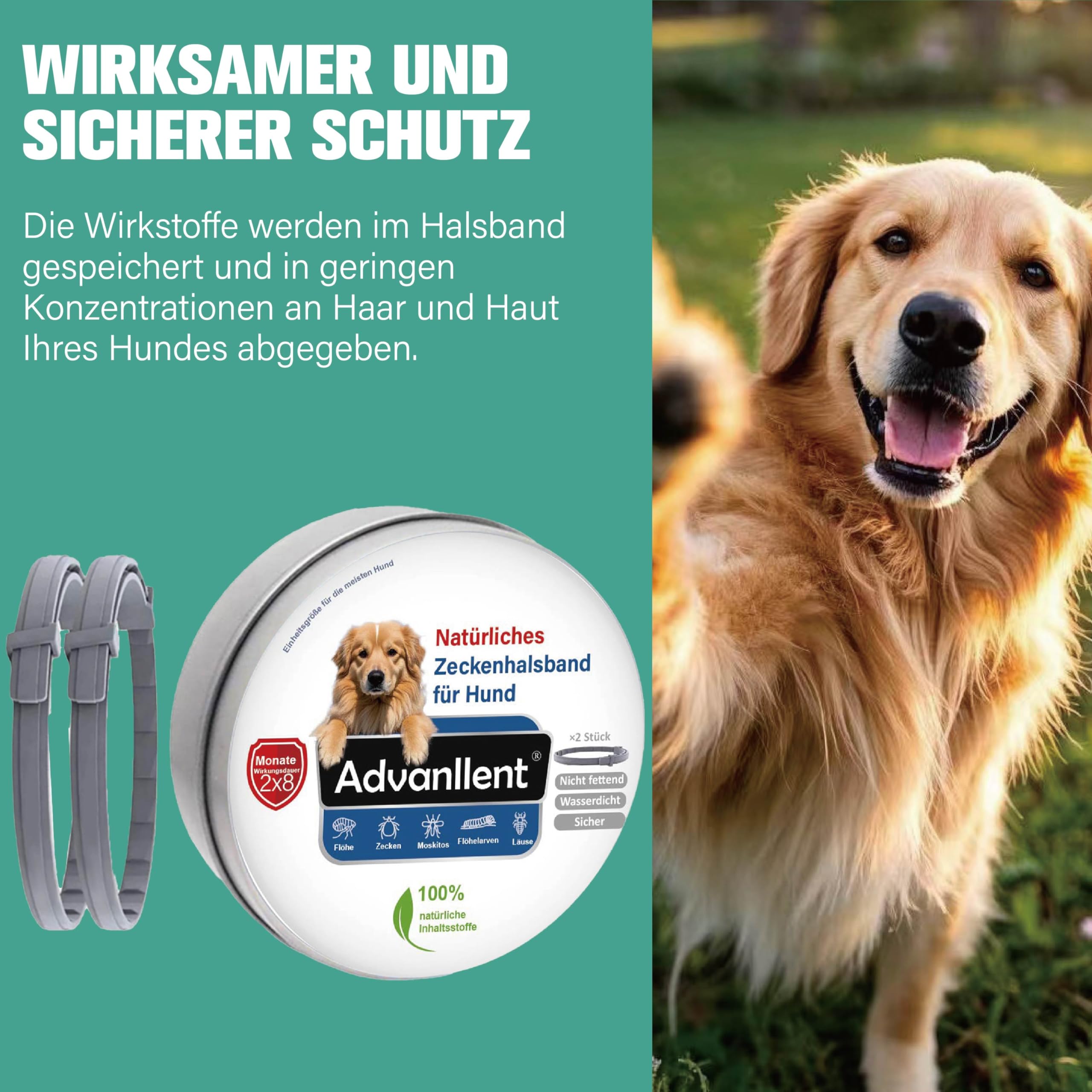 Zeckenhalsband für Hunde 2 Stück, Flohhalsband Hunde, Floh und Zeckenhalsband Hund, Zeckenschutz Flohschutz Halsband für Hund, 16 Monate Zeckenschutz